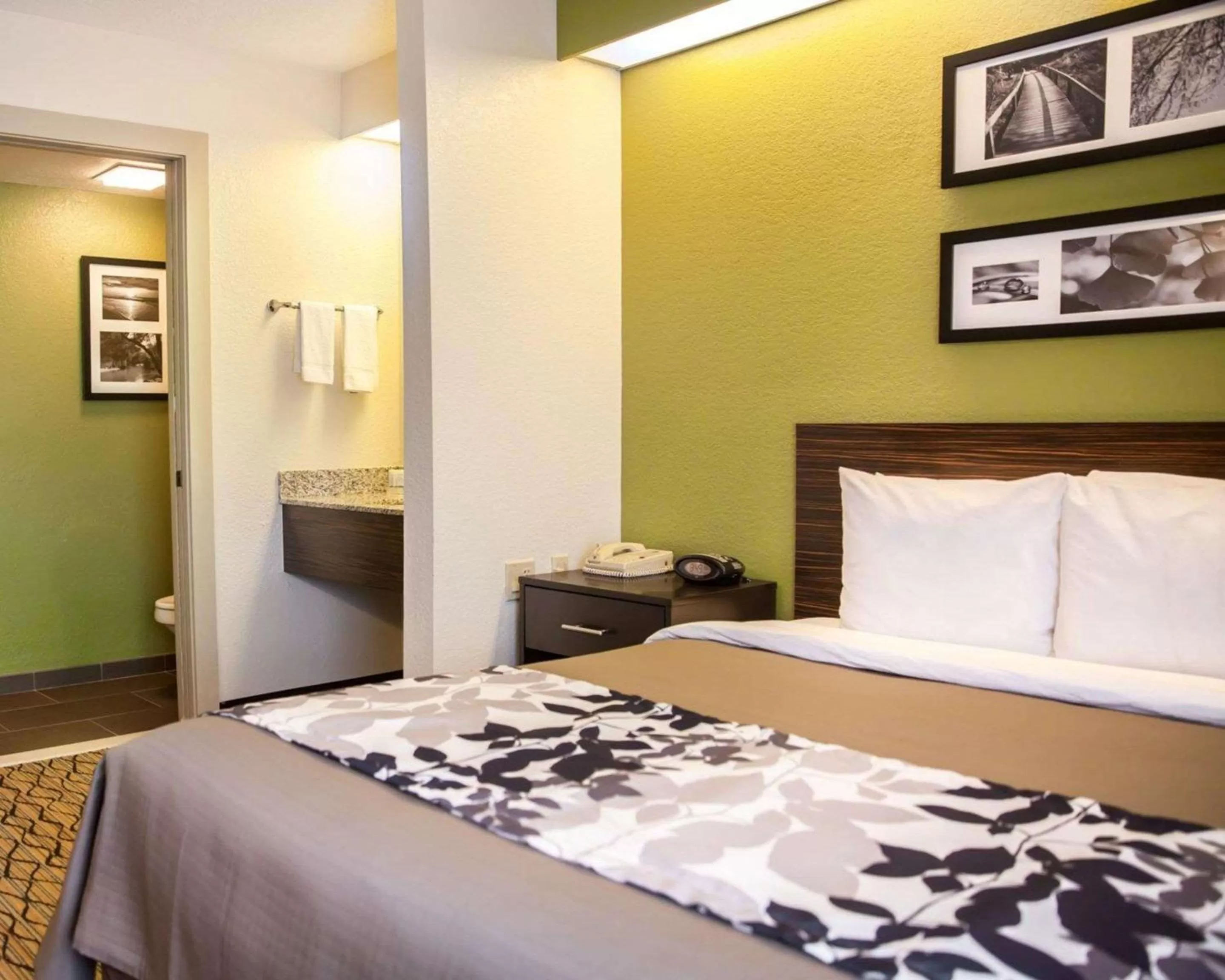 Queen Room - Non-Smoking in Sleep Inn Rockville