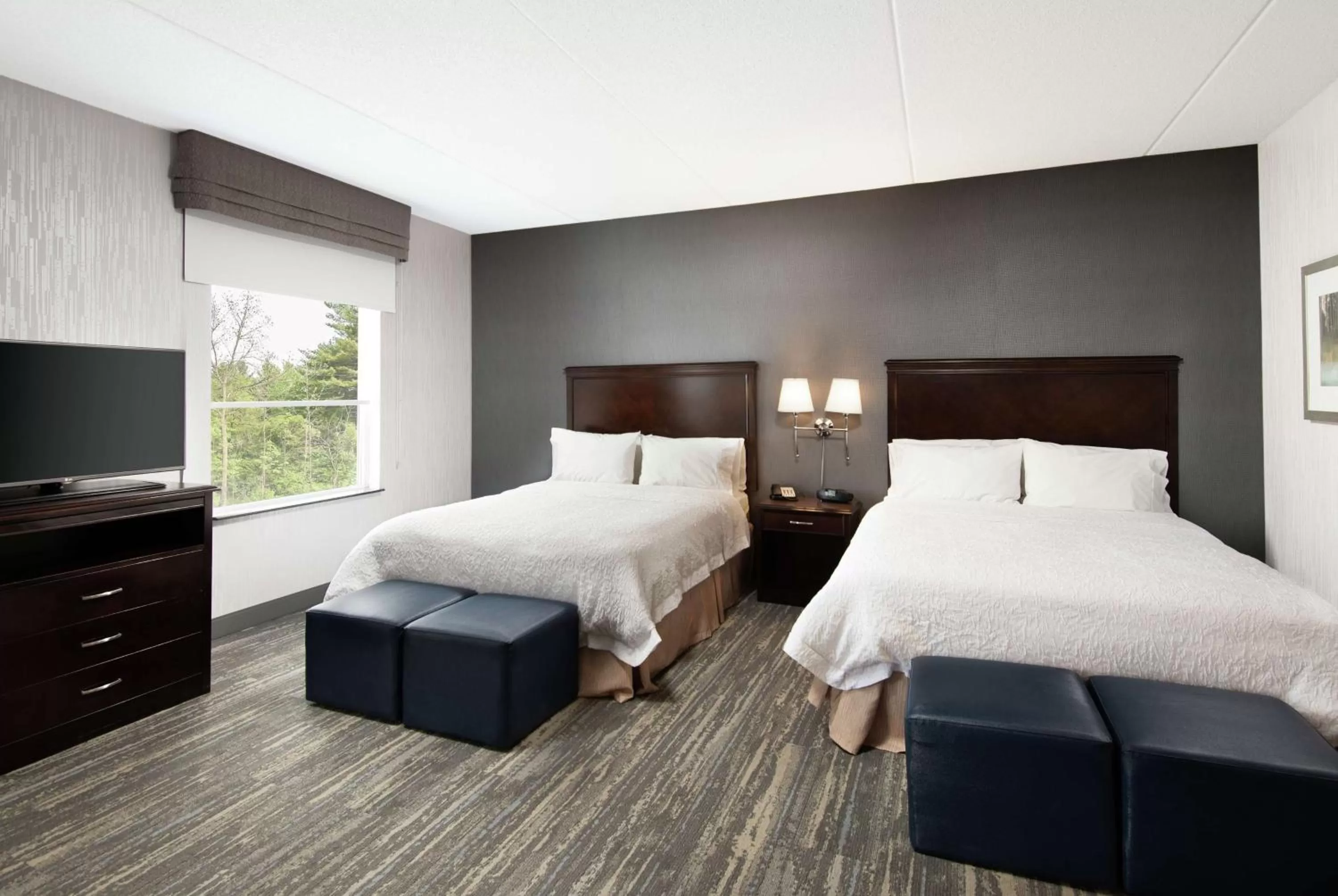 Studio Suite with Two Queen Beds and Sofa Bed - Non-Smoking in Hampton Inn & Suites by Hilton Barrie