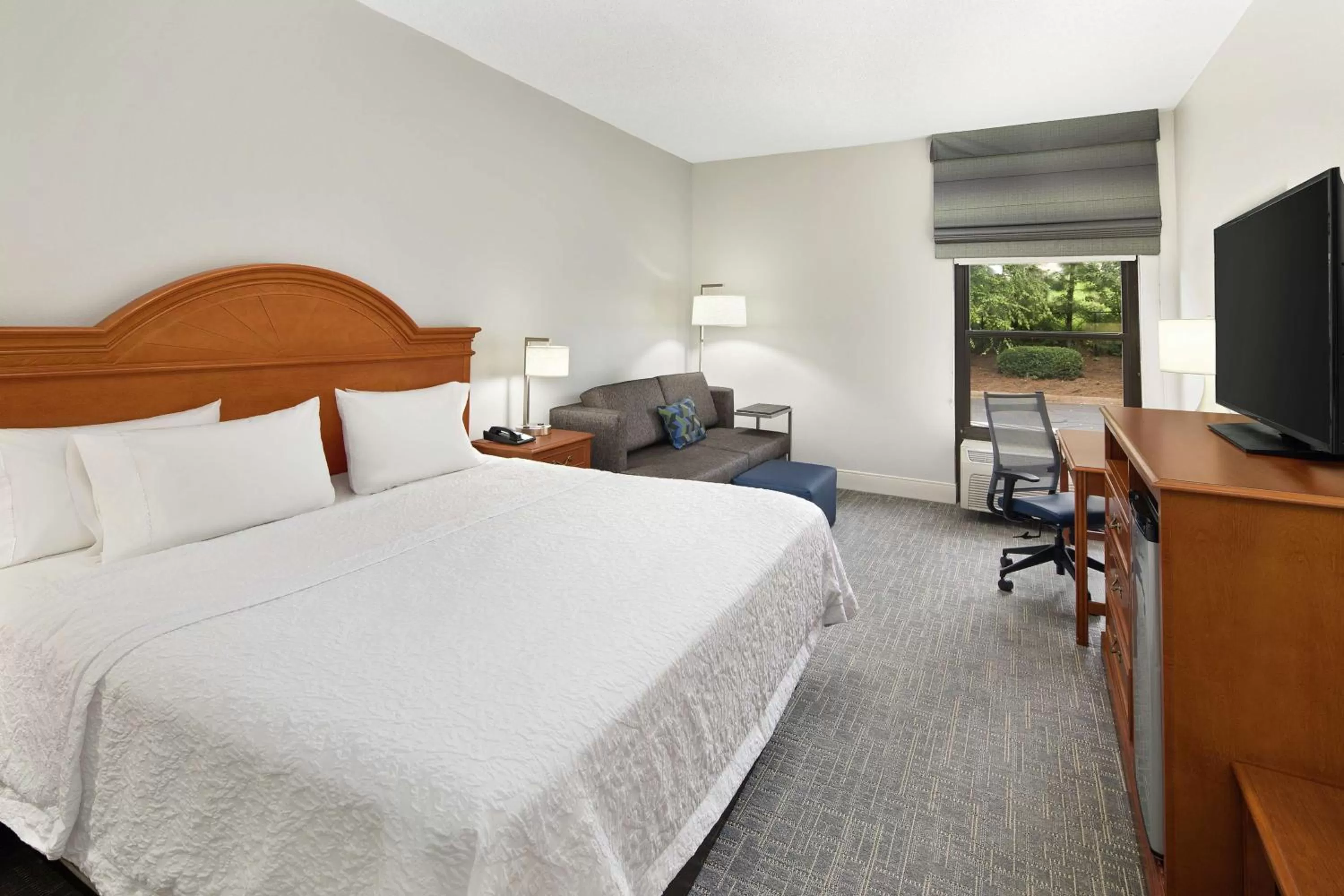 Executive King Room with Sofa Bed - Non-Smoking in Hampton Inn Atlanta-Newnan