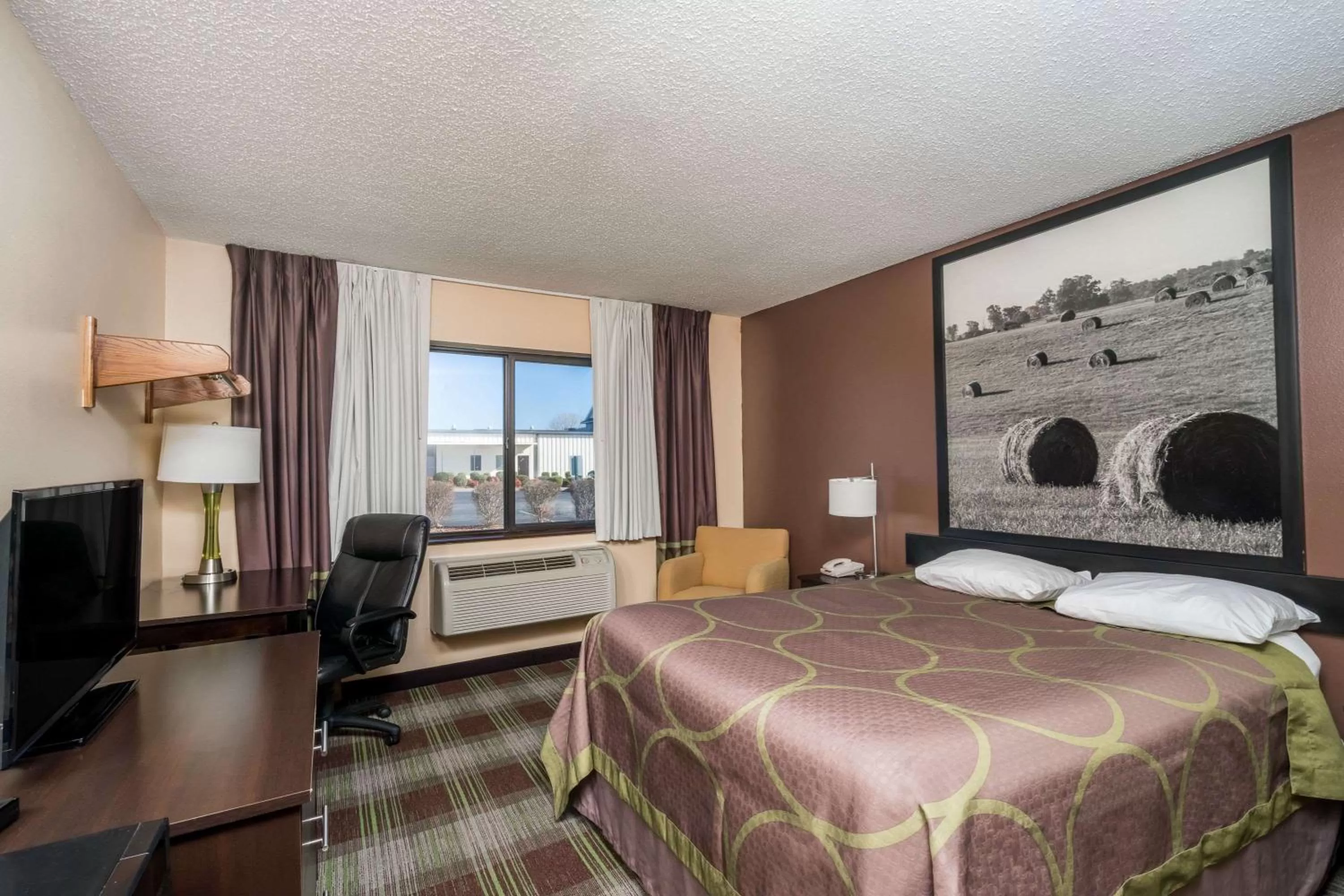 Double Studio Suite - Non-Smoking in Super 8 by Wyndham Campbellsville KY