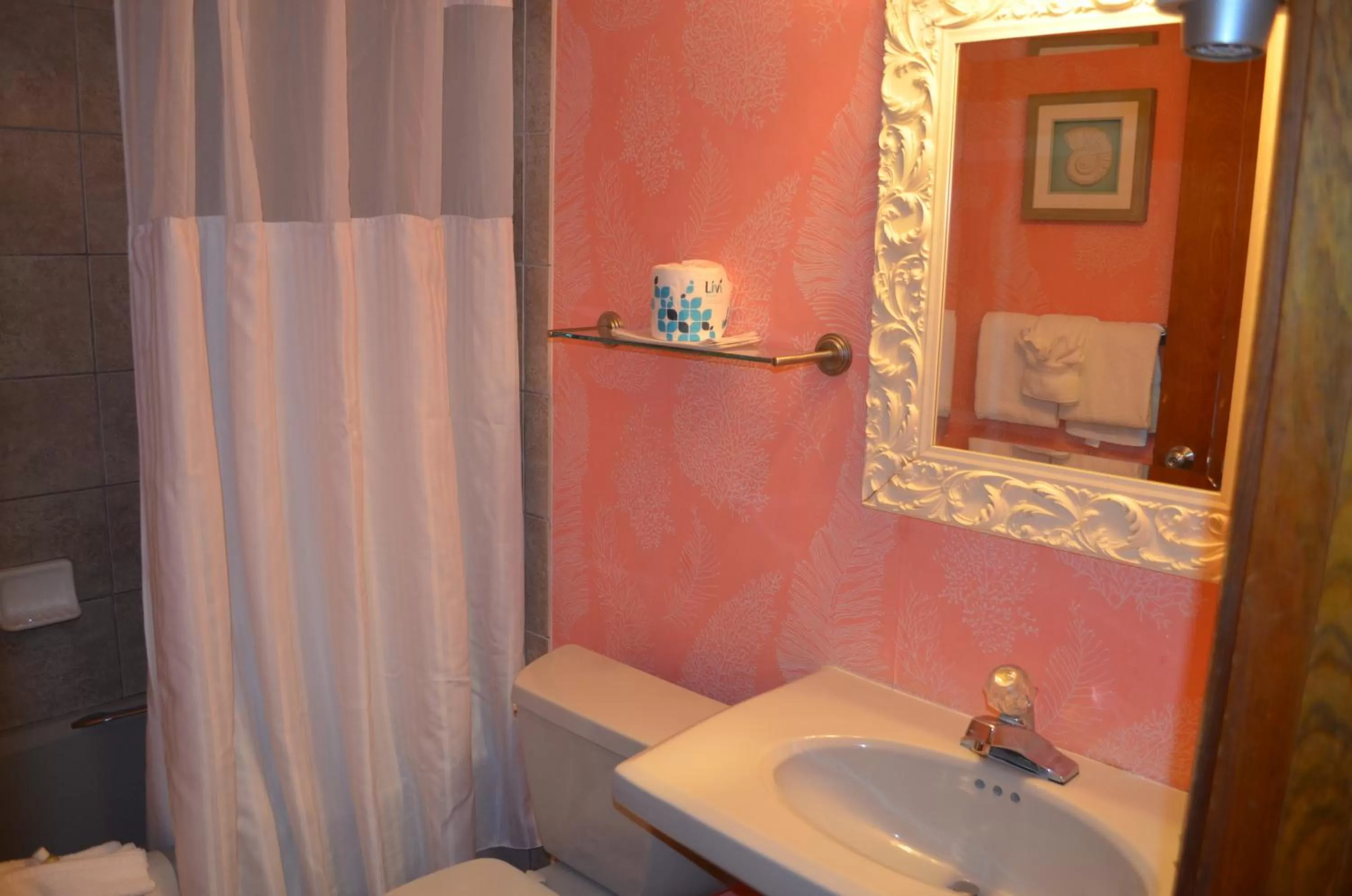 King Room with Pool View - Non-Smoking in Sun Viking Lodge - Daytona Beach