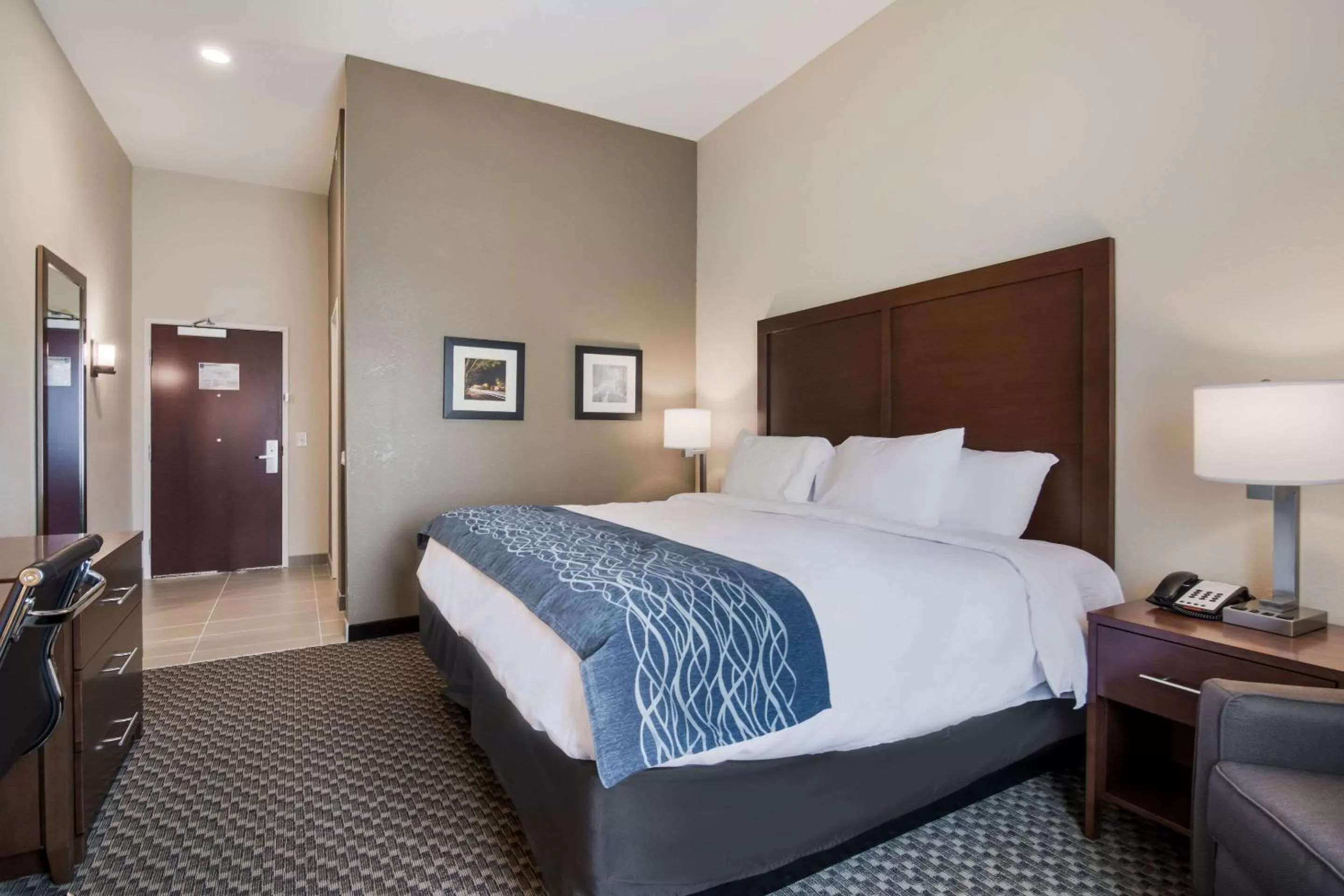 Standard King Room - Non-Smoking  in Comfort Inn & Suites Rock Hill Northeast