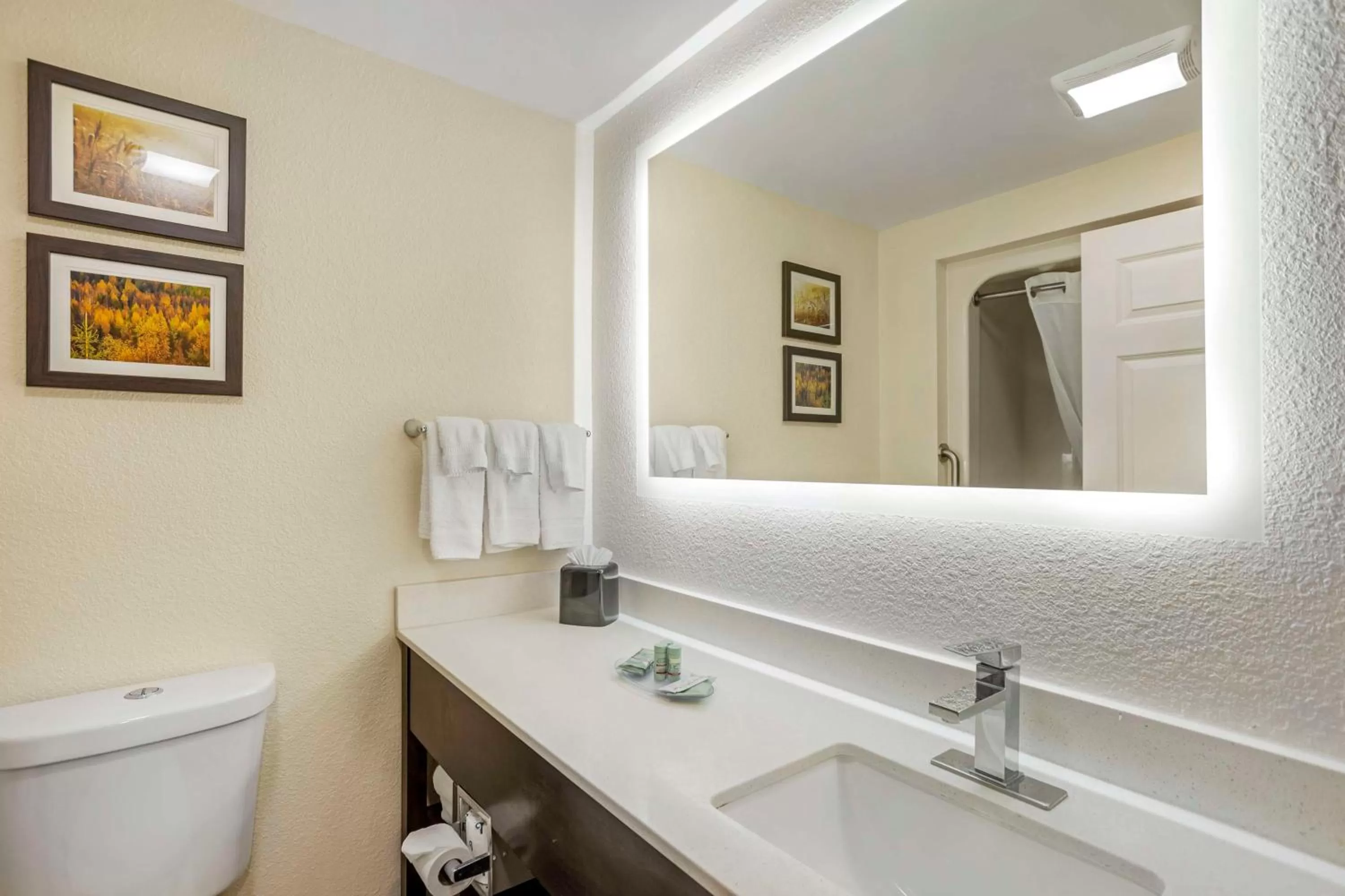 King Suite with Sofa Bed and Whirlpool - Disability Access/Non-Smoking in Best Western Grantville Hershey