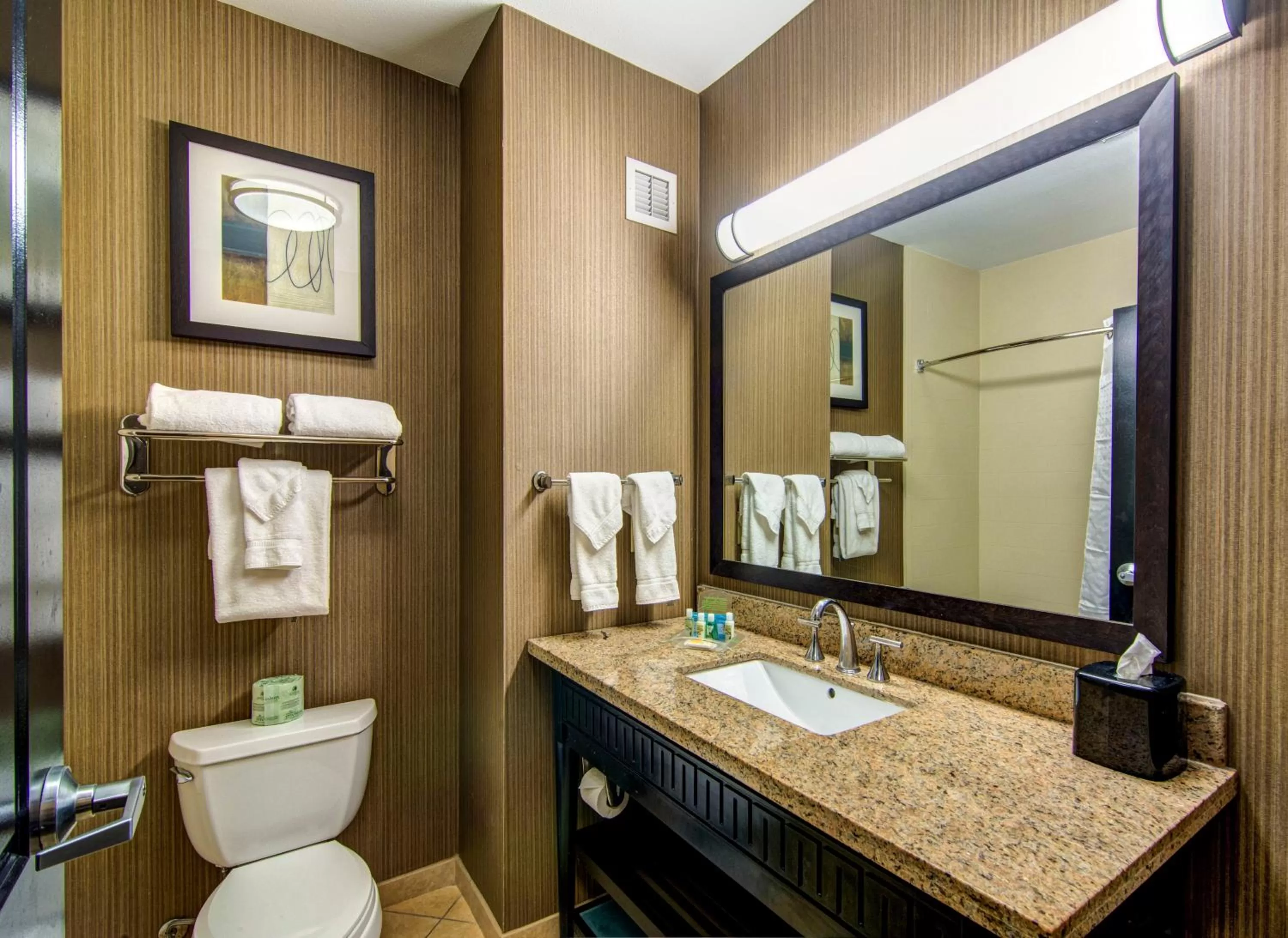 Standard Queen Room with Two Queen Beds and Roll-In Shower - Mobility Access in Holiday Inn Arlington Northeast by IHG