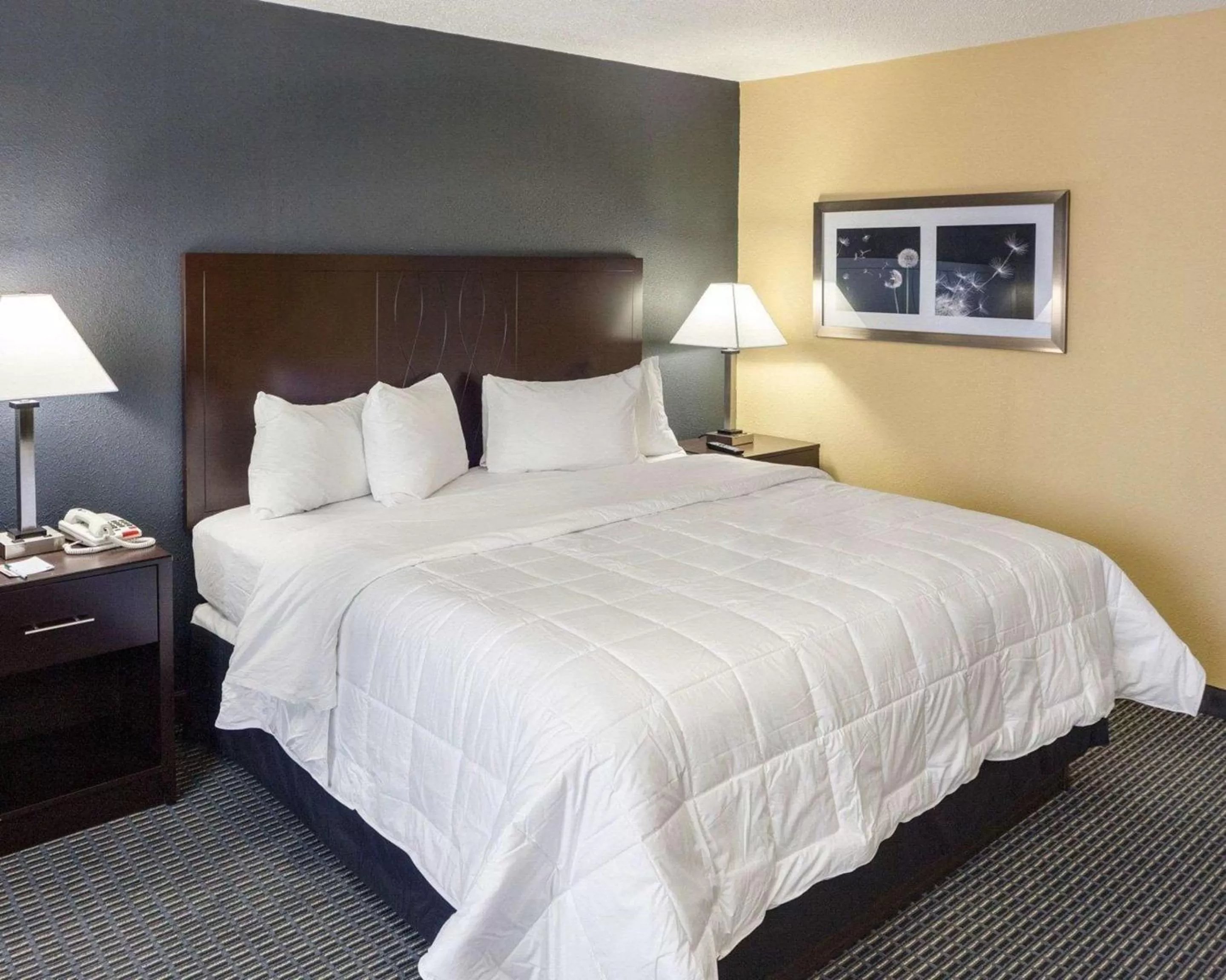 Executive King Suite - Non-Smoking in Quality Inn Montpelier