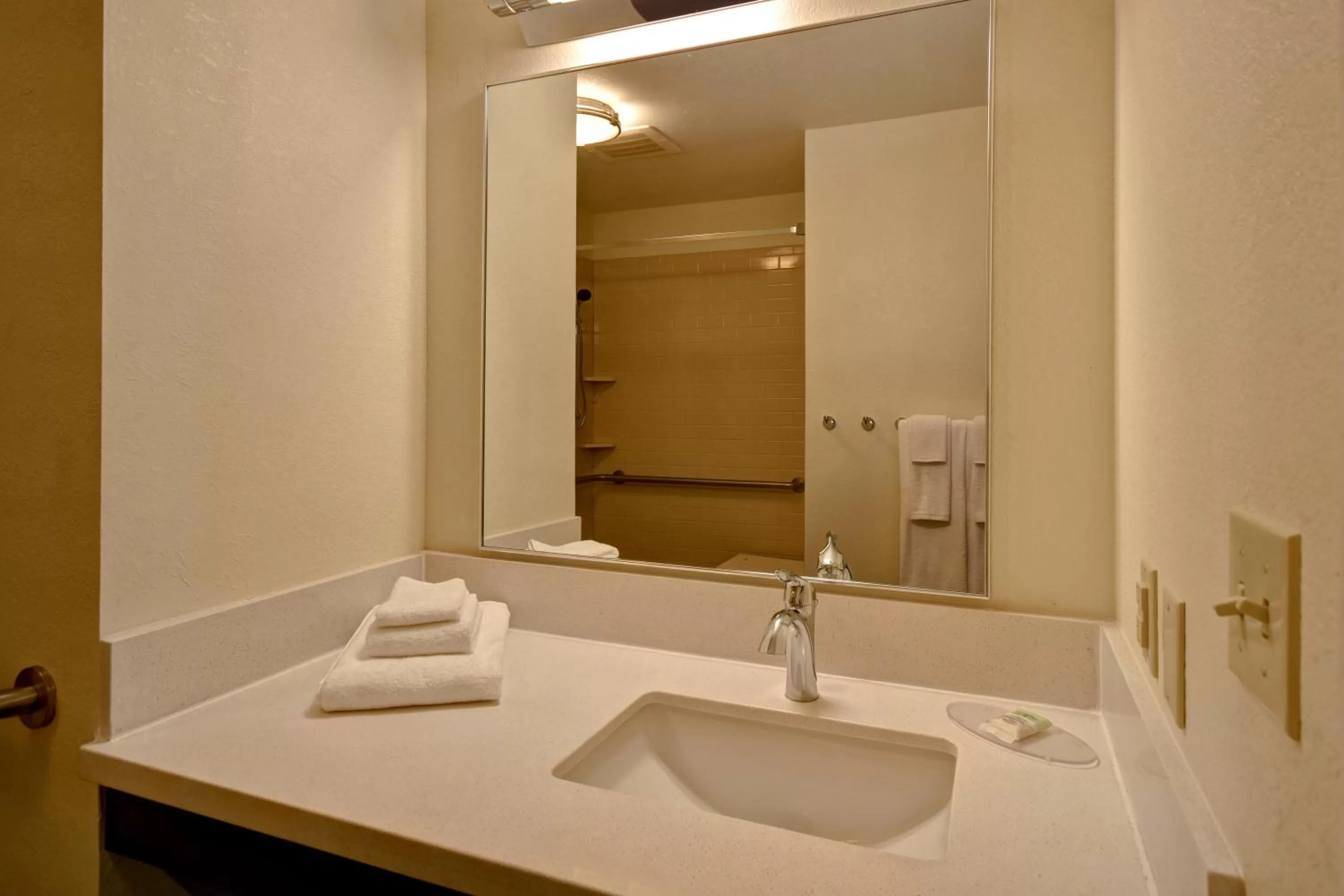 Studio Queen with Two Queen Beds and Mobility Accessible Tub in Candlewood Suites Carrollton by IHG