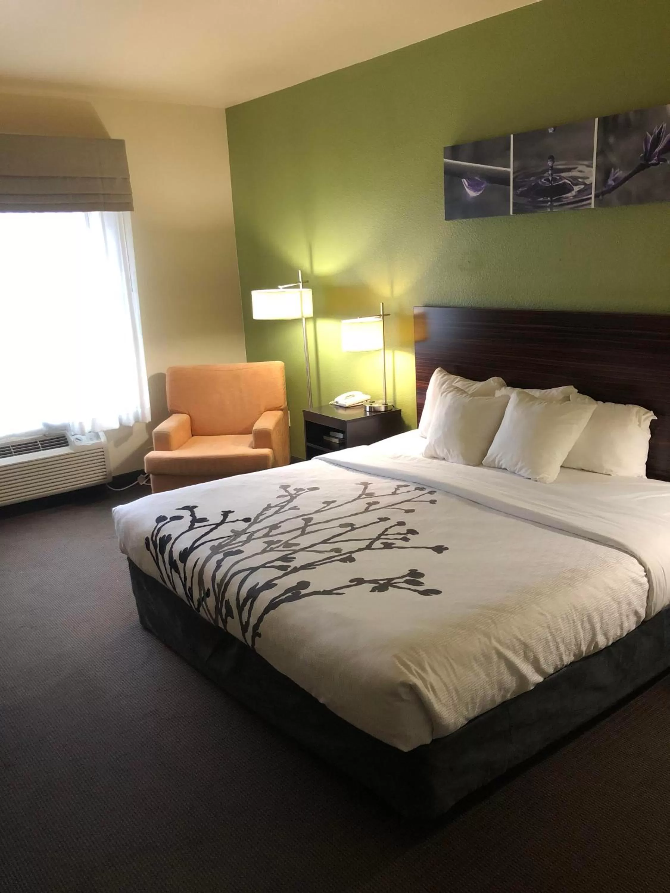 King Suite with Accessible Tub - Accessible/Non-Smoking in Sleep Inn & Suites Hewitt - South Waco