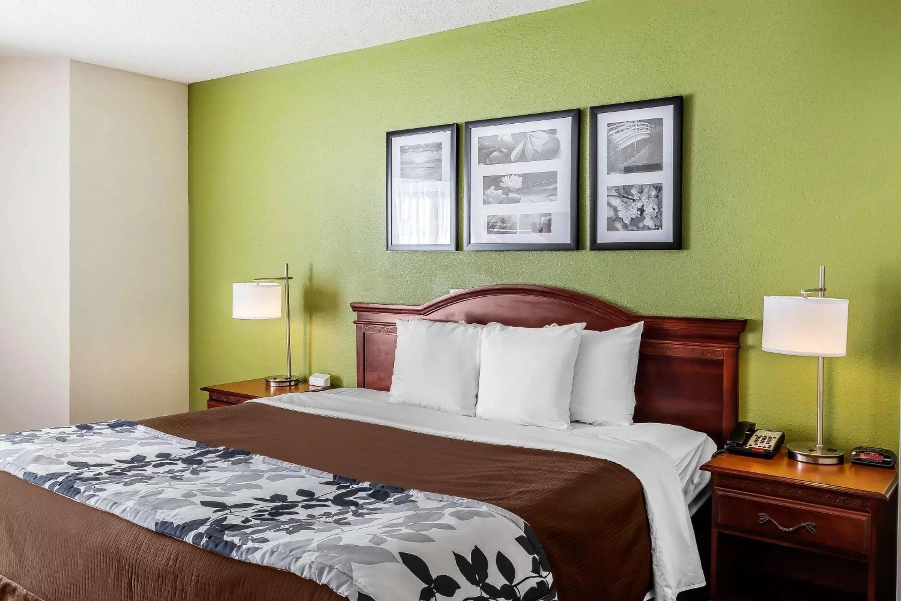 Queen Room First Floor - Accessible/Non-Smoking in Sleep Inn Gaffney at I-85