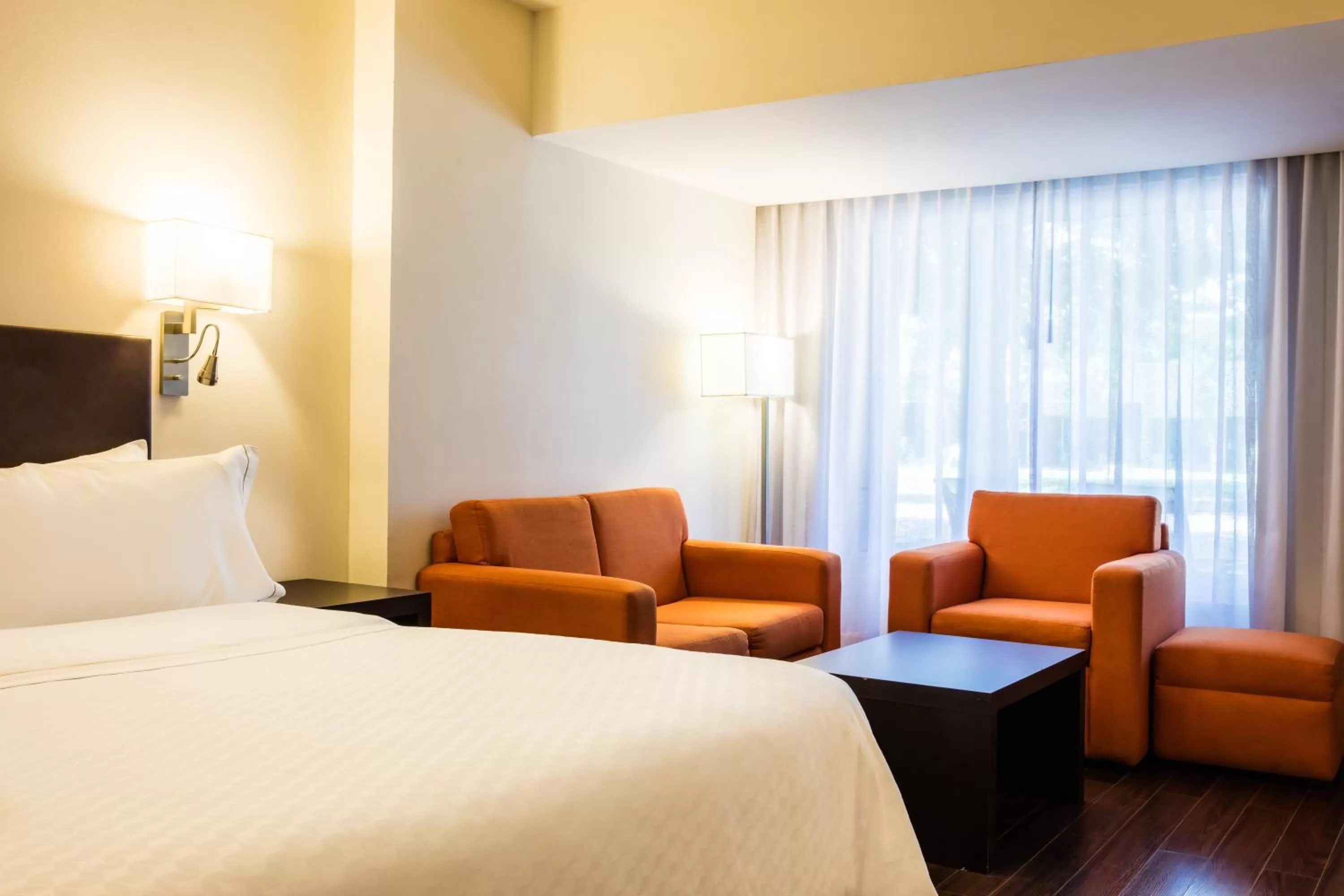 Deluxe King Room in Fiesta Inn San Luis Potosi Glorieta Juarez