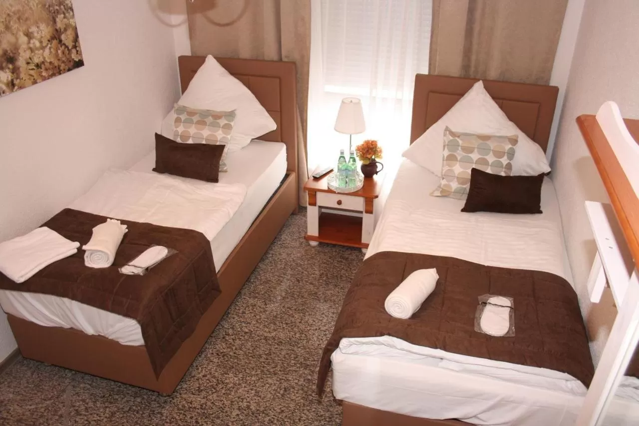 Double or Twin Room in Hotel Vesa