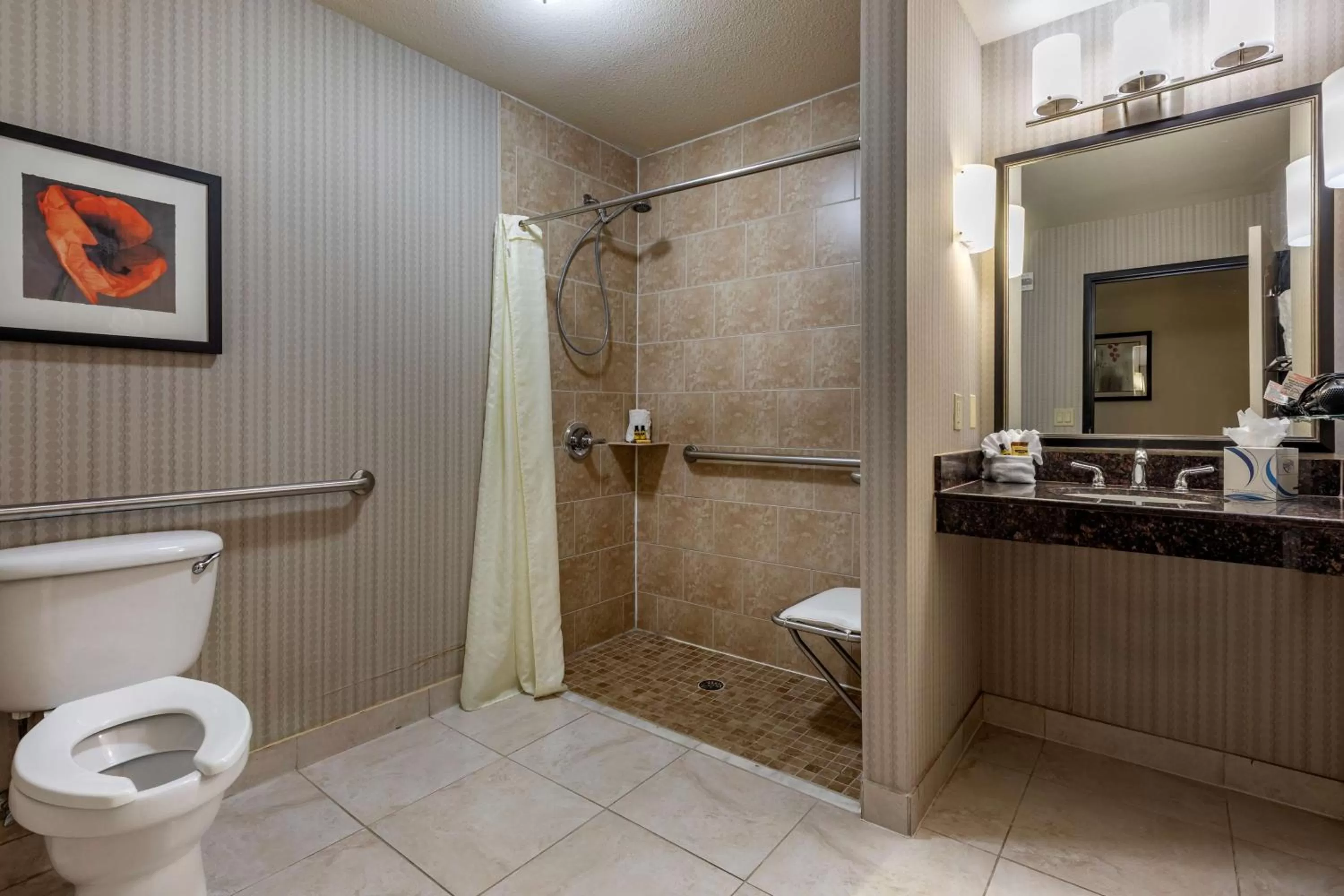 King Suite with Roll - In Shower - Mobility Access in Best Western Plus DFW Airport West Euless