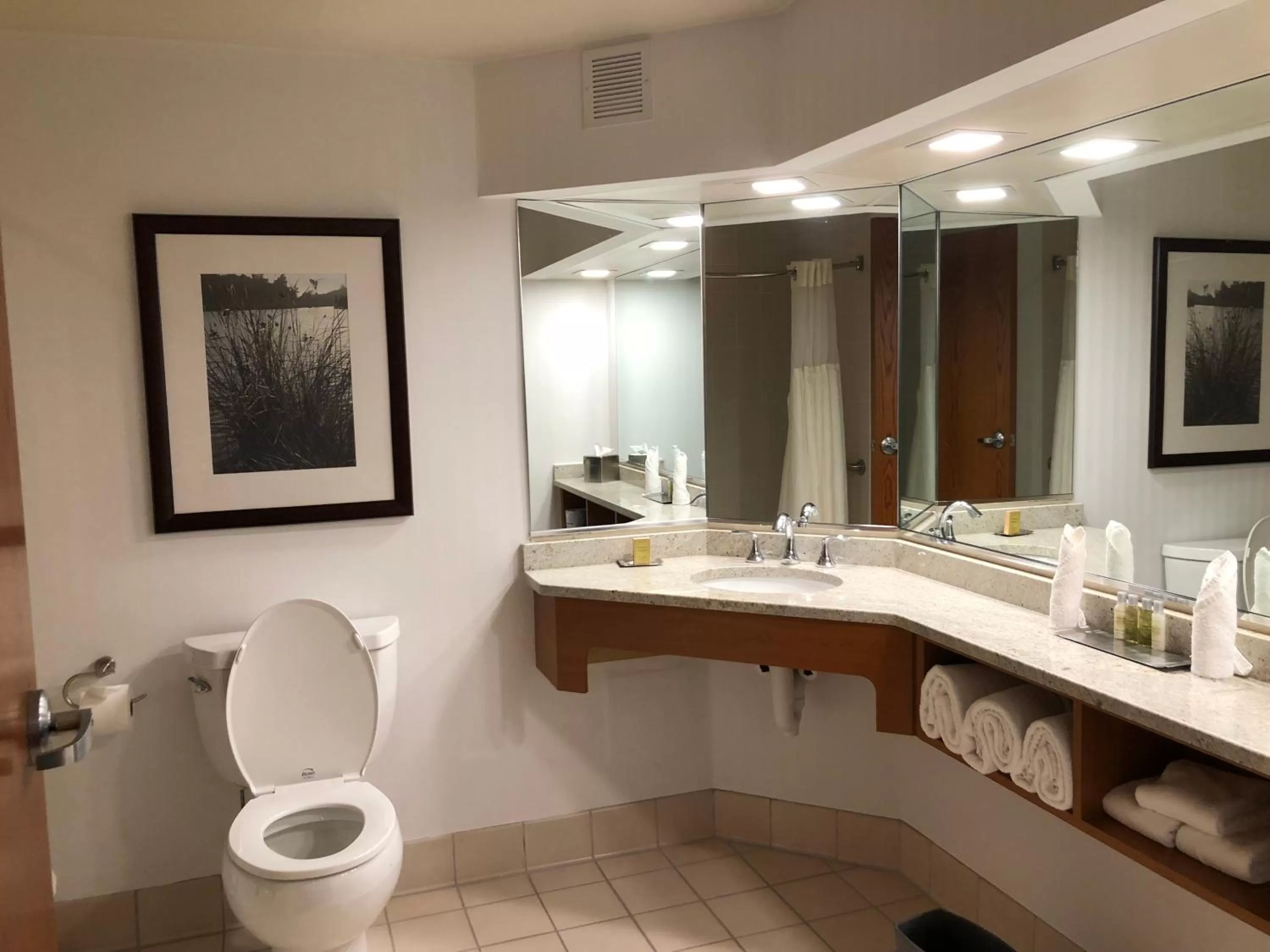 King Suite - Non-Smoking in Wyndham Garden Buffalo Downtown