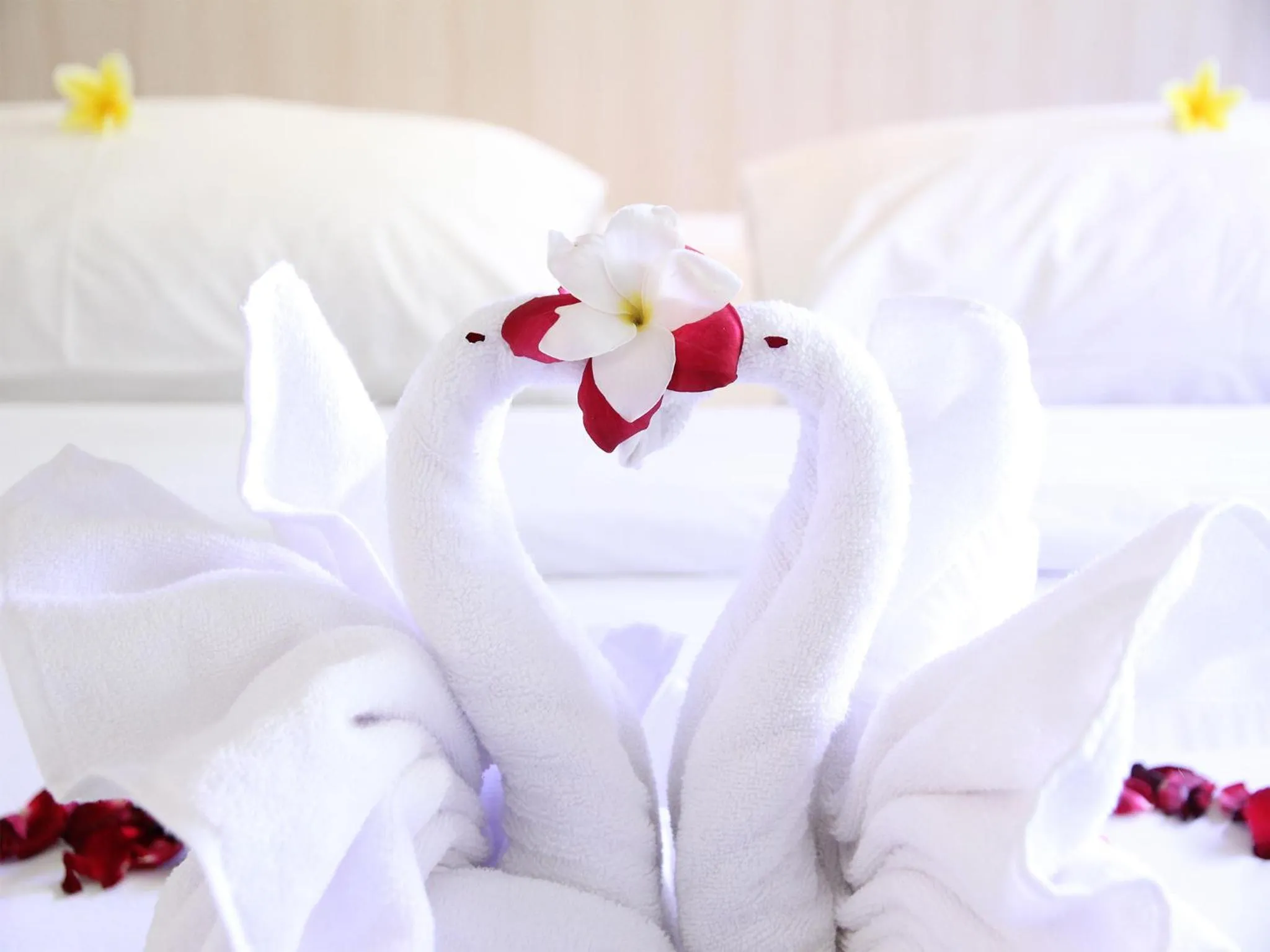 Cozy Double Room with Breakfast in J Hotel Kuta