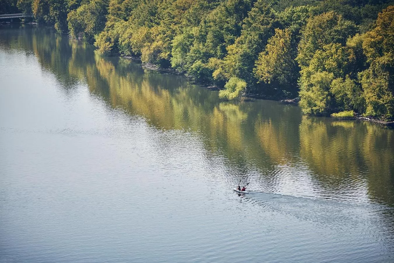 Premier Lake View Balcony Room in Four Seasons Hotel Austin
