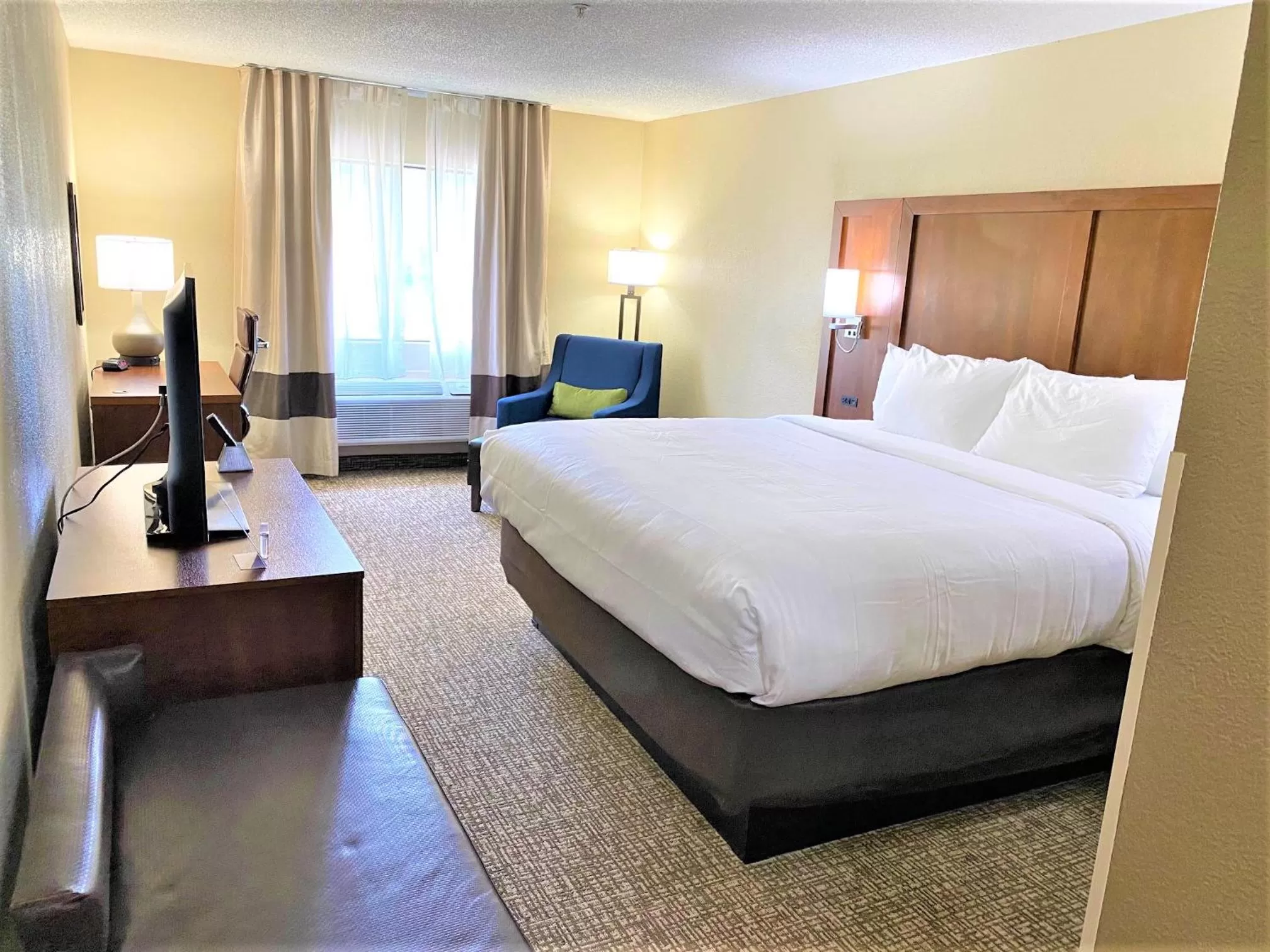 King Room with Roll-In Shower - Accessible/Non Smoking in Comfort Inn Charleston South