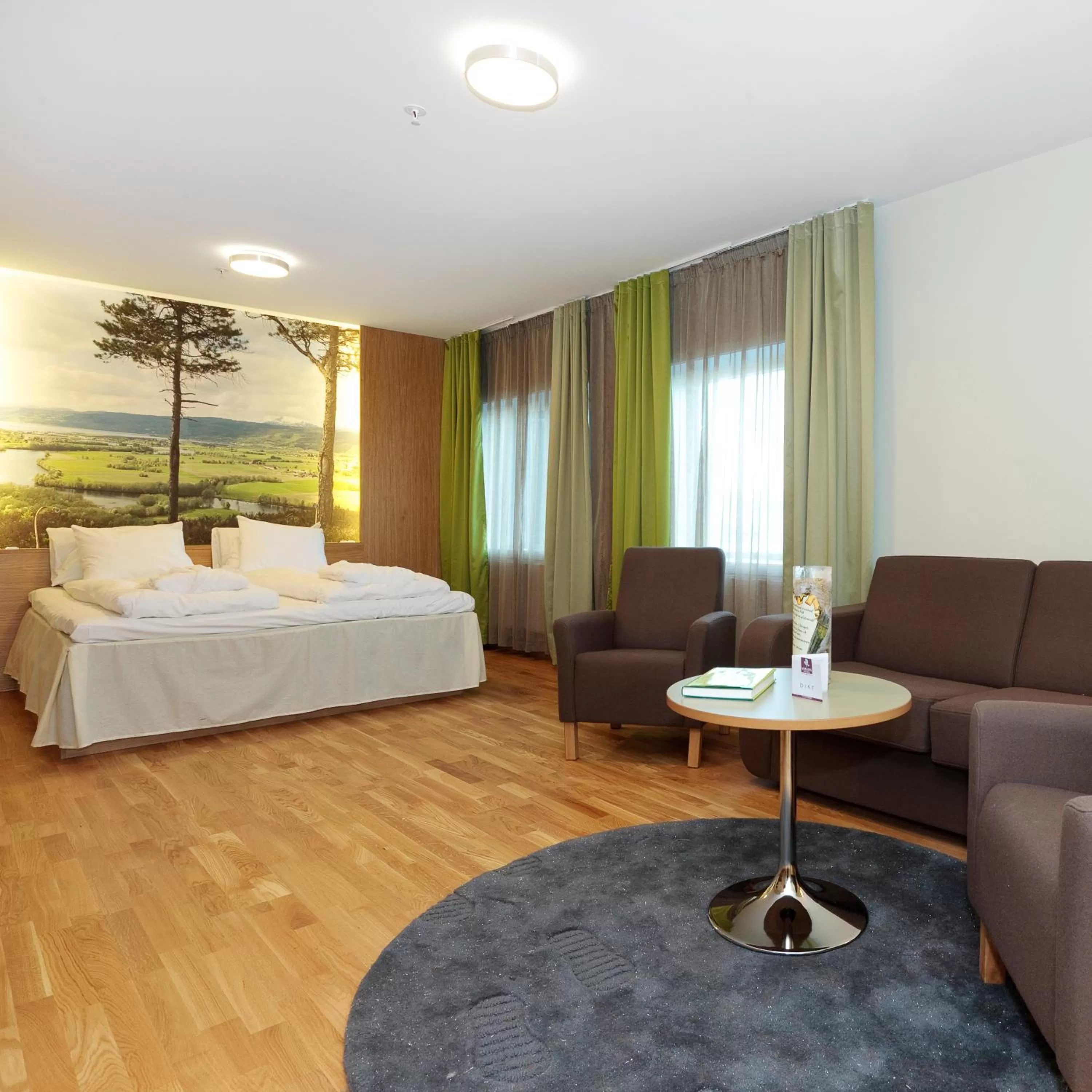 Business Double Room with Gym Access in Thon Hotel Surnadal
