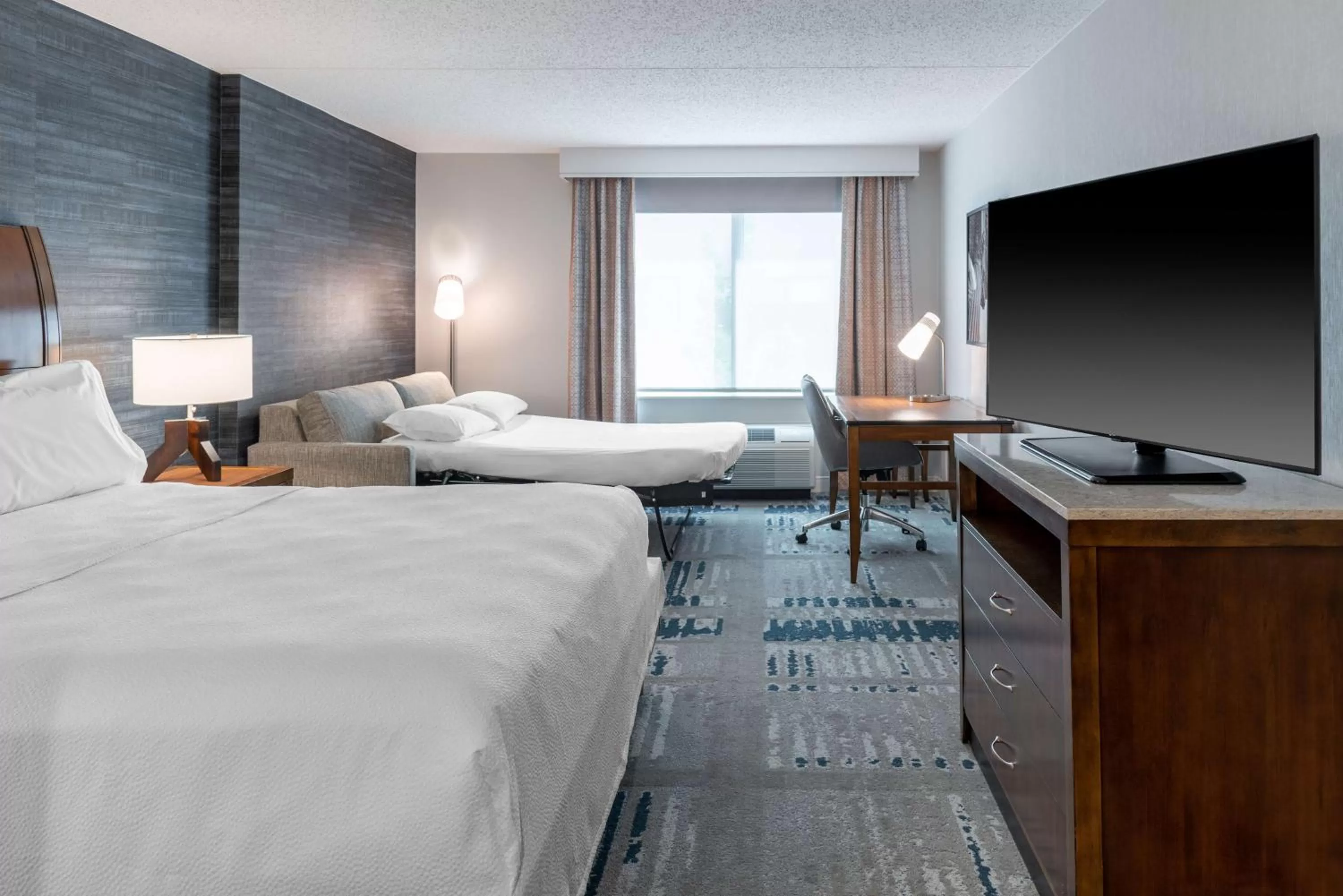 Deluxe King Room with Sofa Bed in Hilton Garden Inn Arlington/Courthouse Plaza