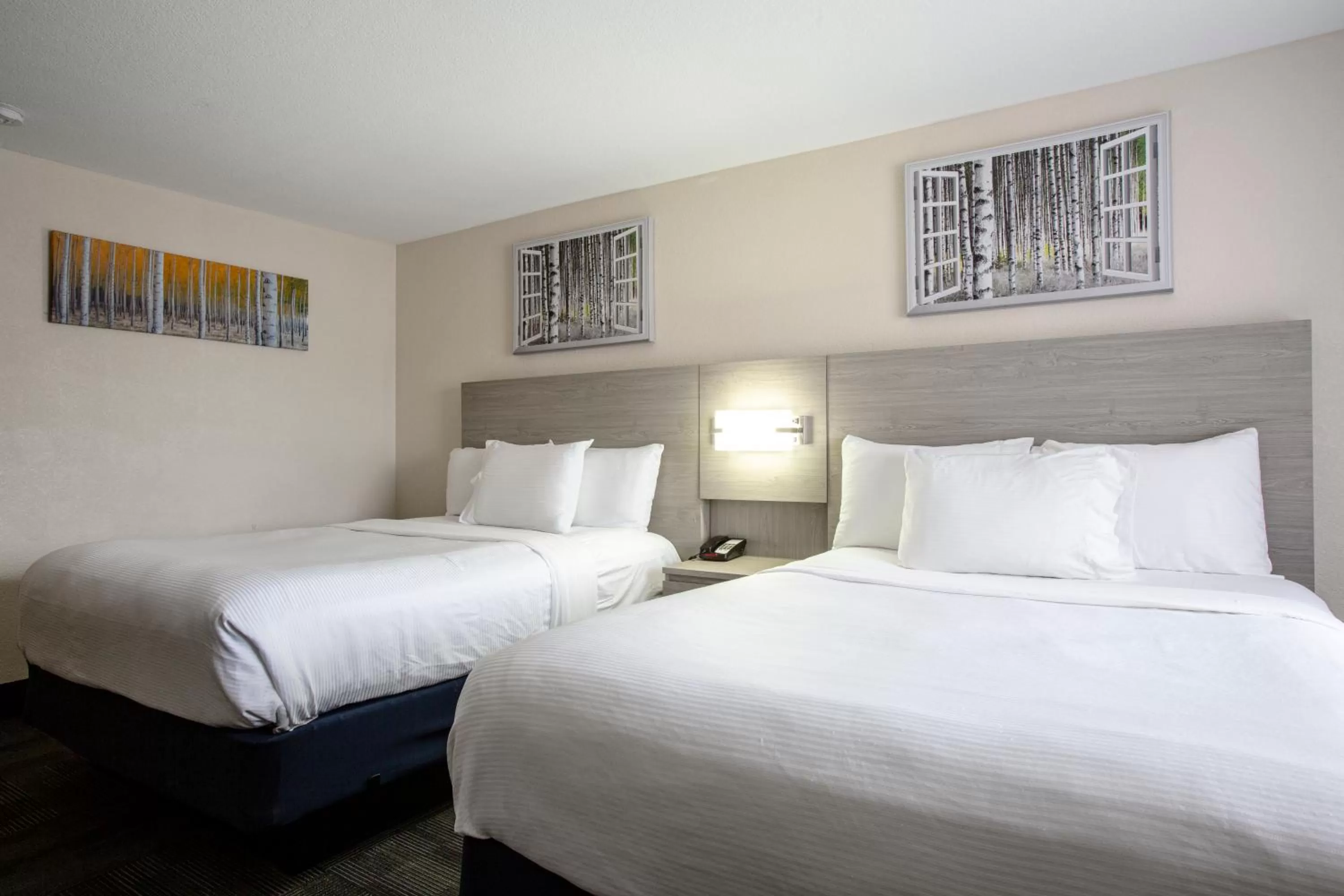 Standard Queen Room with Two Queen Beds in Hotel Aspen Flagstaff/ Grand Canyon InnSuites