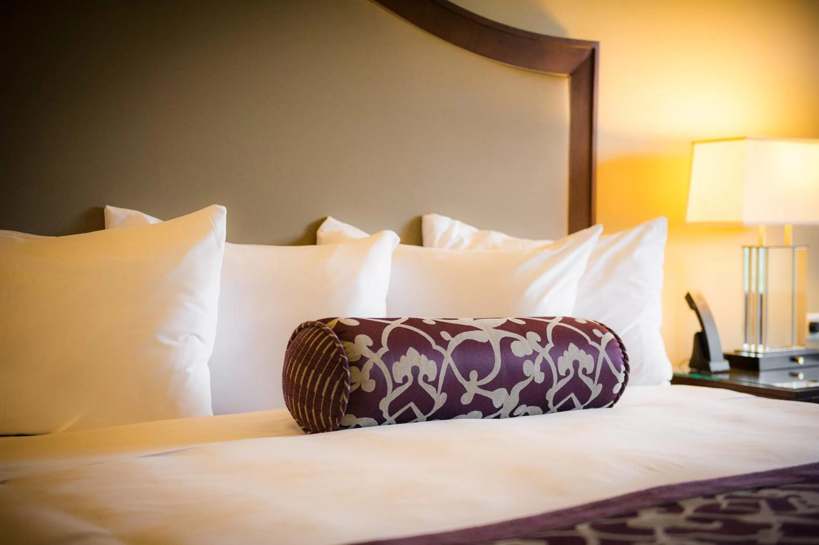 ADA Lakeview King in The Edgewater