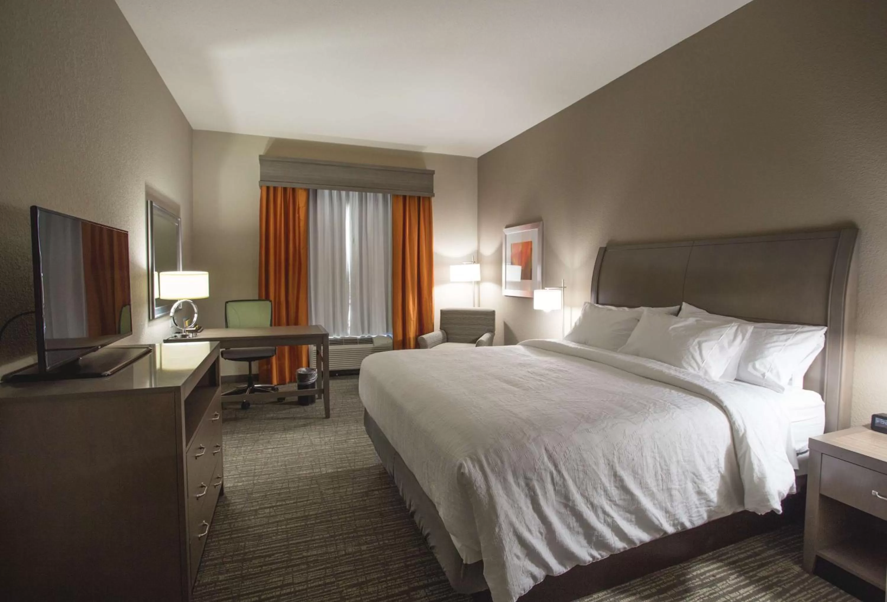 King Room in Hilton Garden Inn Bolingbrook I-55