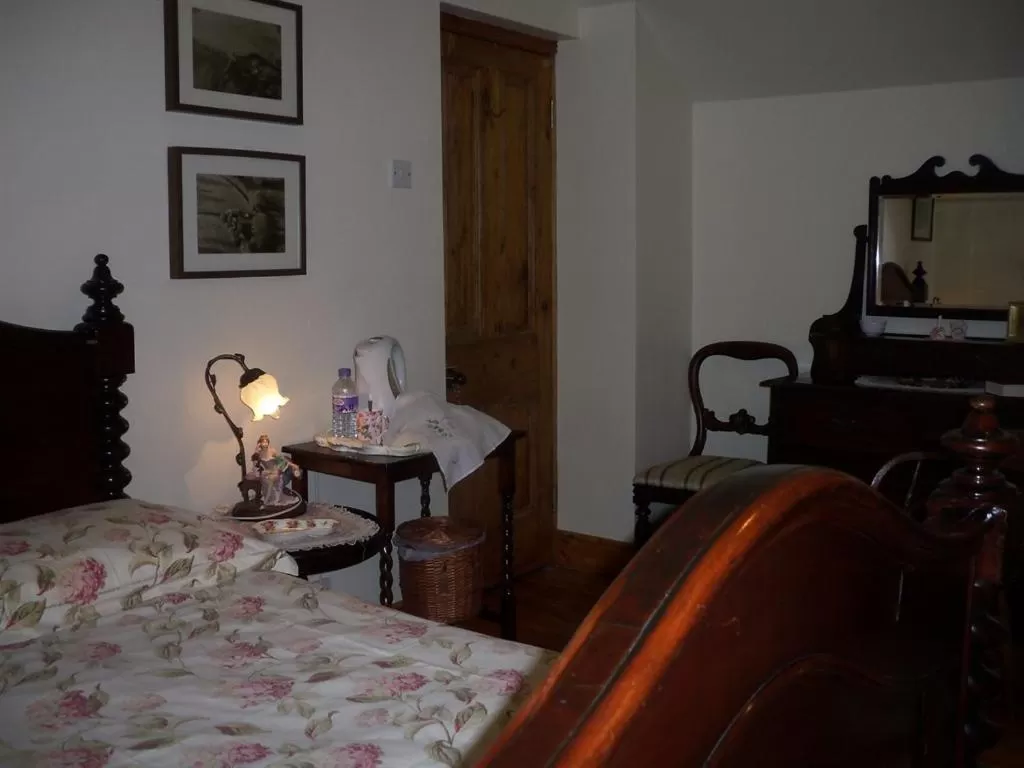 Triple Room with Bath - single occupancy in Lisnafillan Lodge