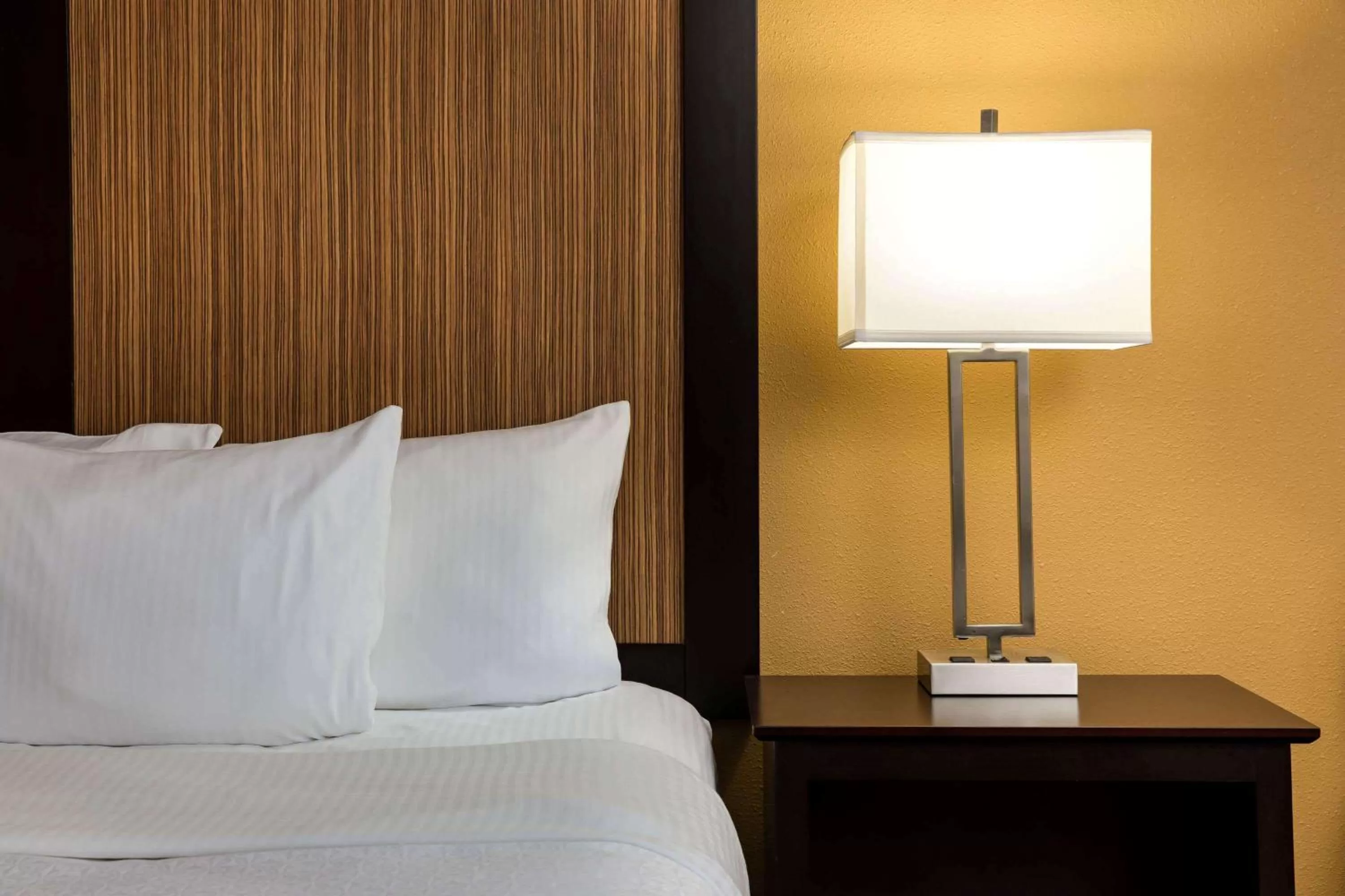 King Suite - Non-Smoking in La Quinta by Wyndham LaGrange / I-85