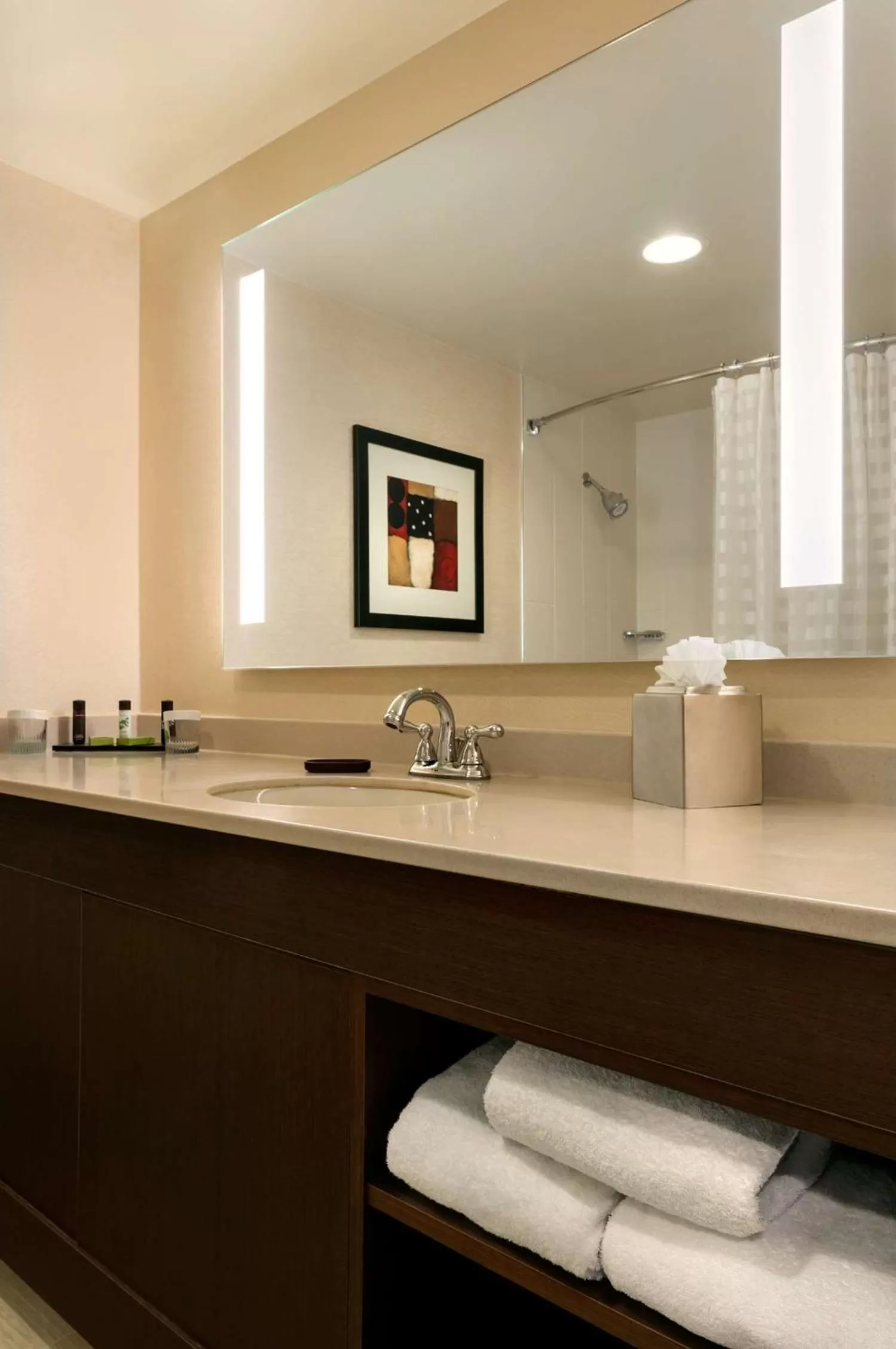 One-Bedroom Suite with Two Double Beds - Hearing Access/Non-Smoking in Embassy Suites by Hilton Chicago North Shore Deerfield