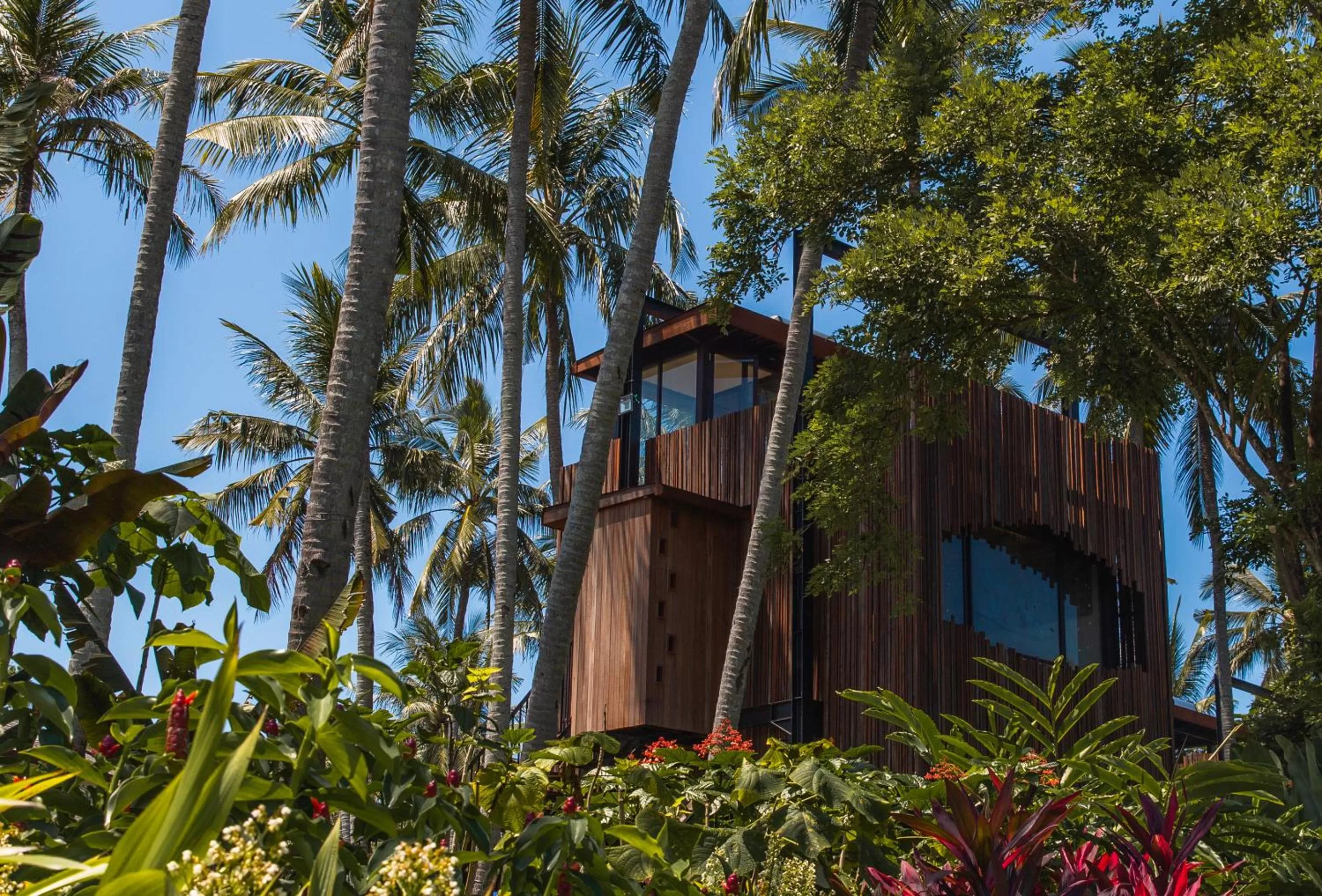 Canopy Suite in Nirjhara