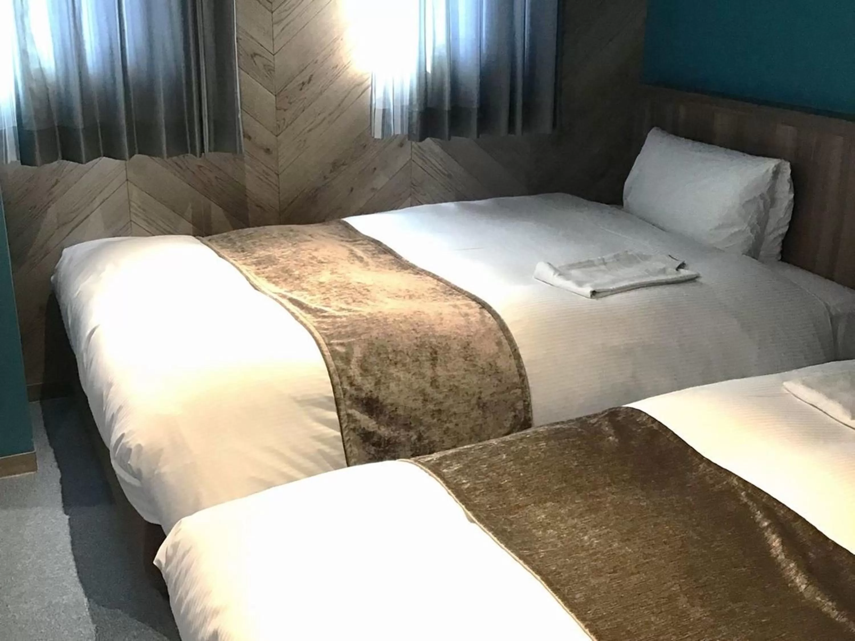 Twin Room - single occupancy - Building 1 - Non-Smoking in Matsue Urban Hotel