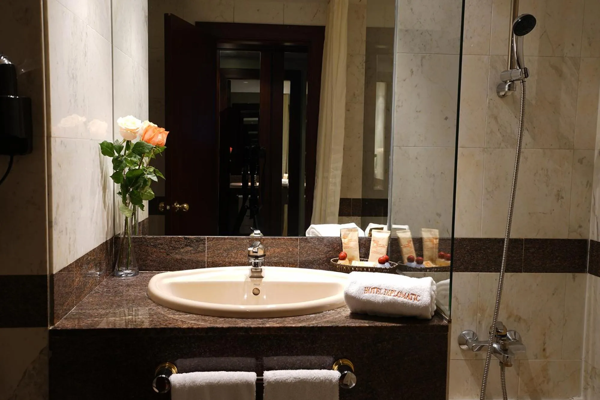 Double or Twin Room Single Use in Zenit Diplomatic