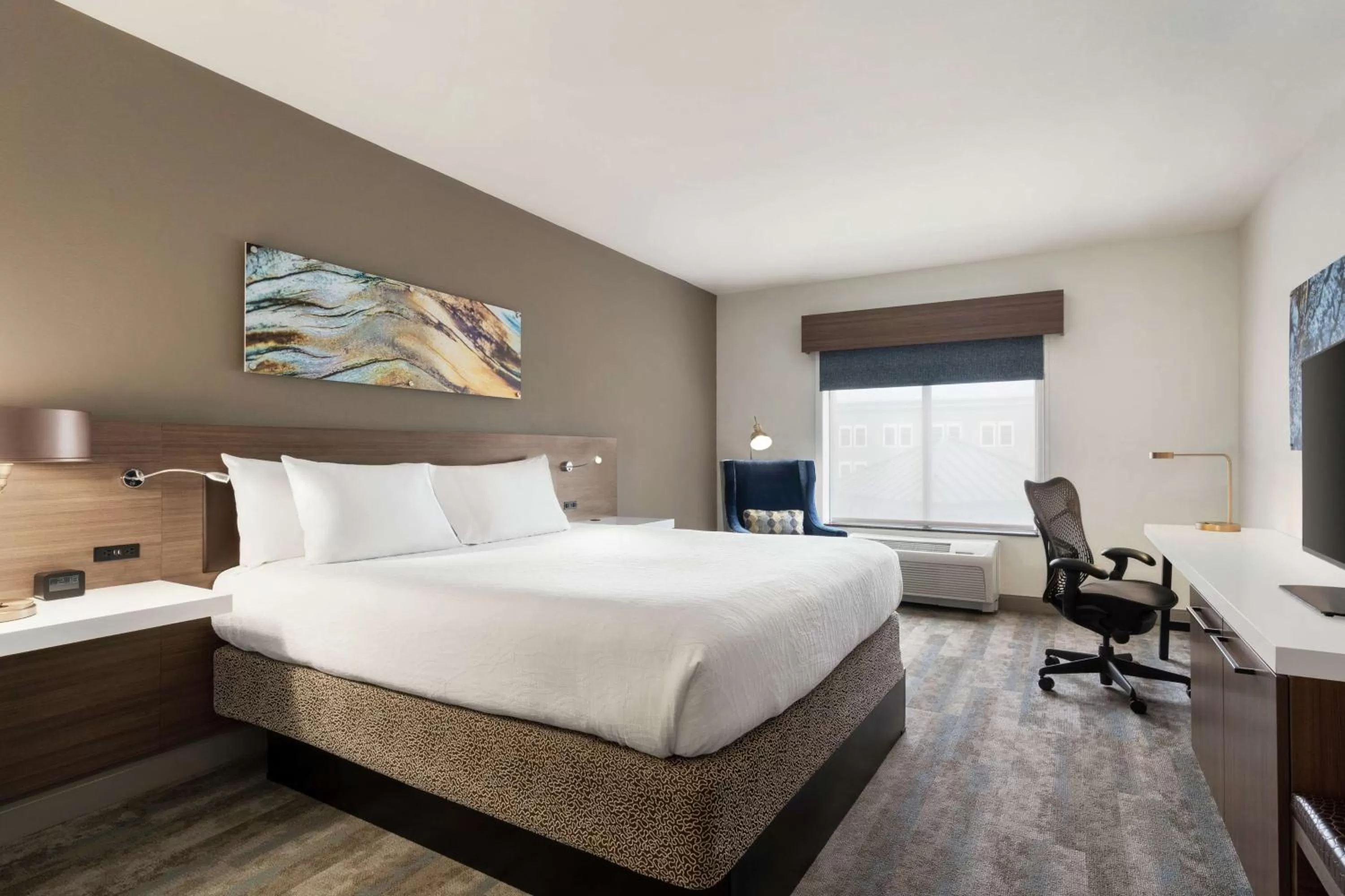 Premium King Room in Hilton Garden Inn Charlotte/Ayrsley