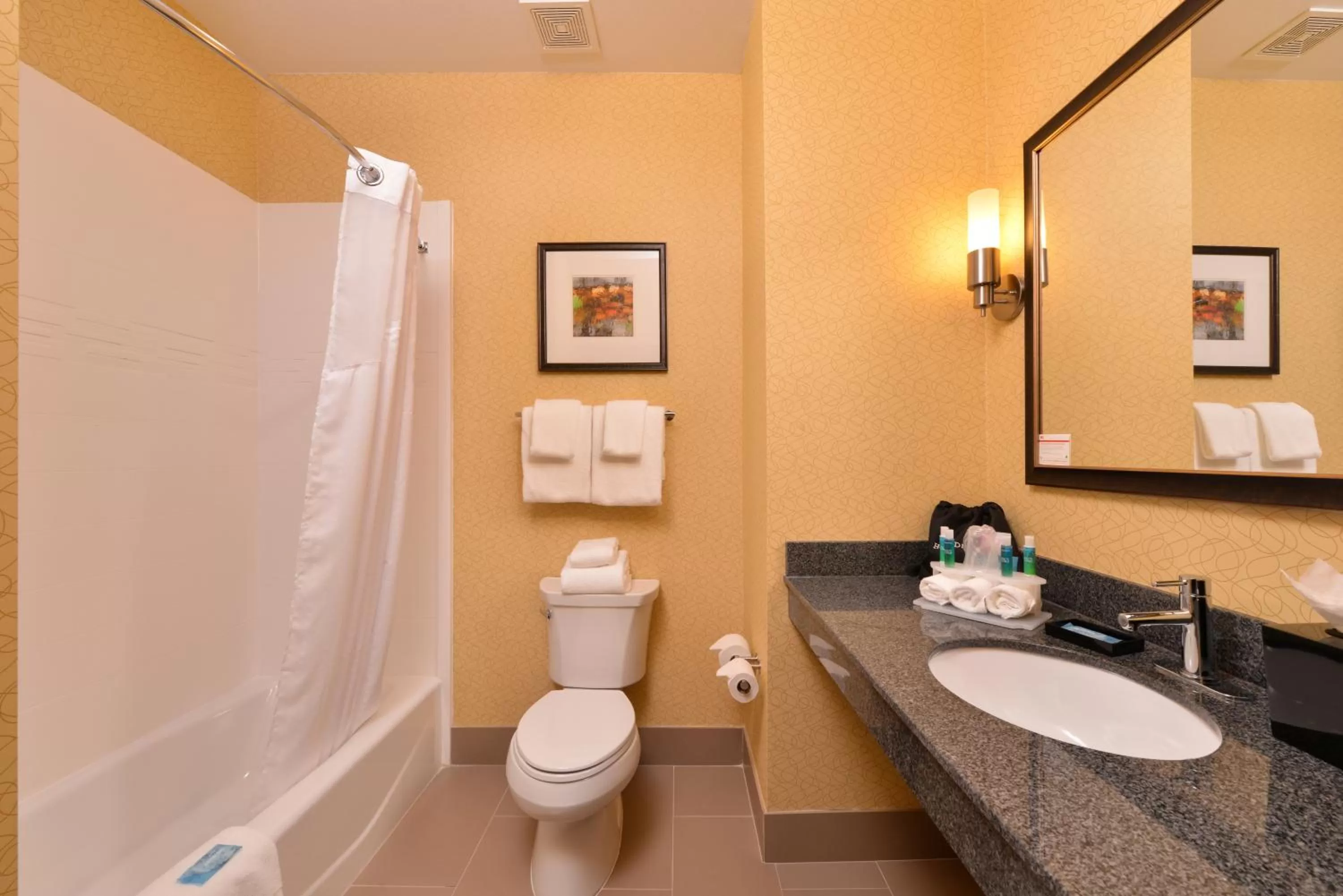 Standard Room in Holiday Inn Express & Suites Bakersfield Airport by IHG