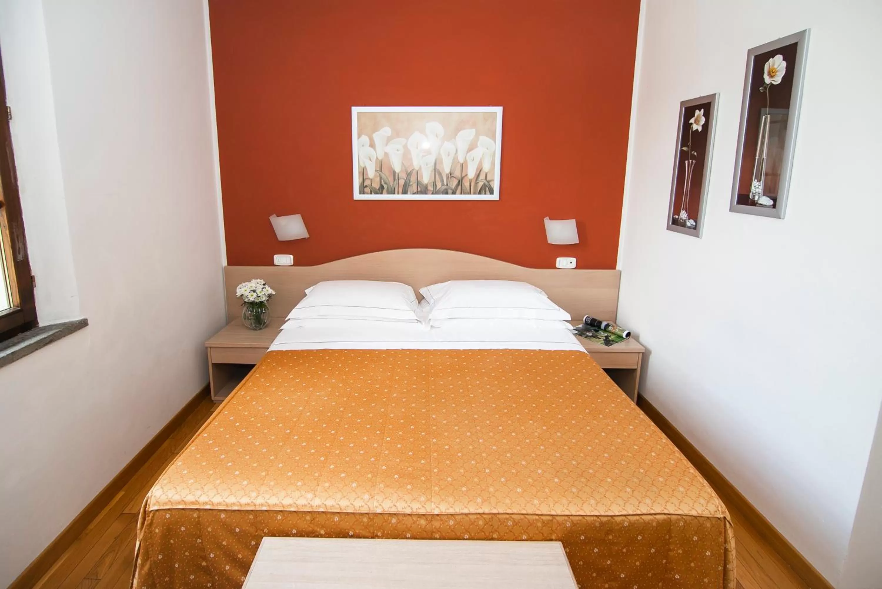 Single Room - single occupancy in Hotel La Colonna