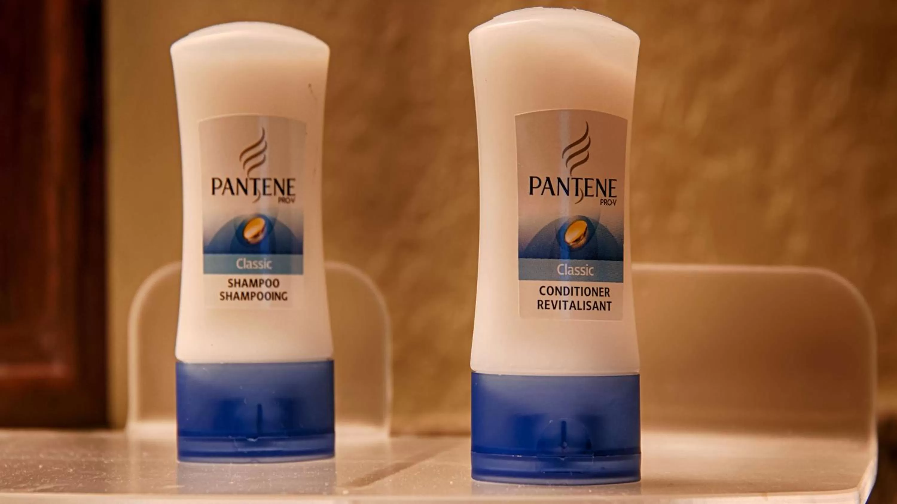 One-Bedroom with Roll-in Shower - Disability Access/Non-Smoking in Best Western Plus Siesta Key Gateway