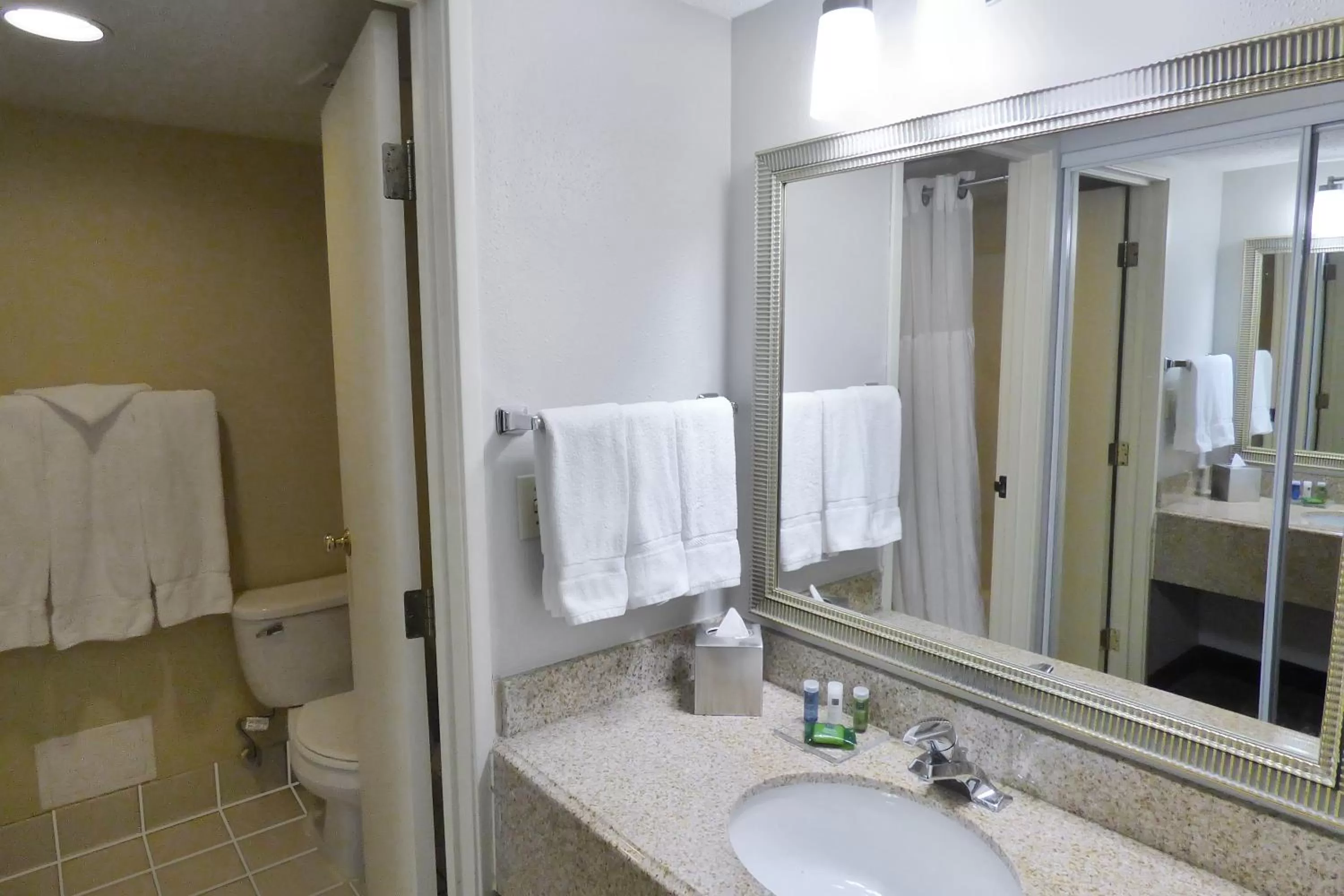 One-Bedroom King Suite in Radisson Akron-Fairlawn Copley