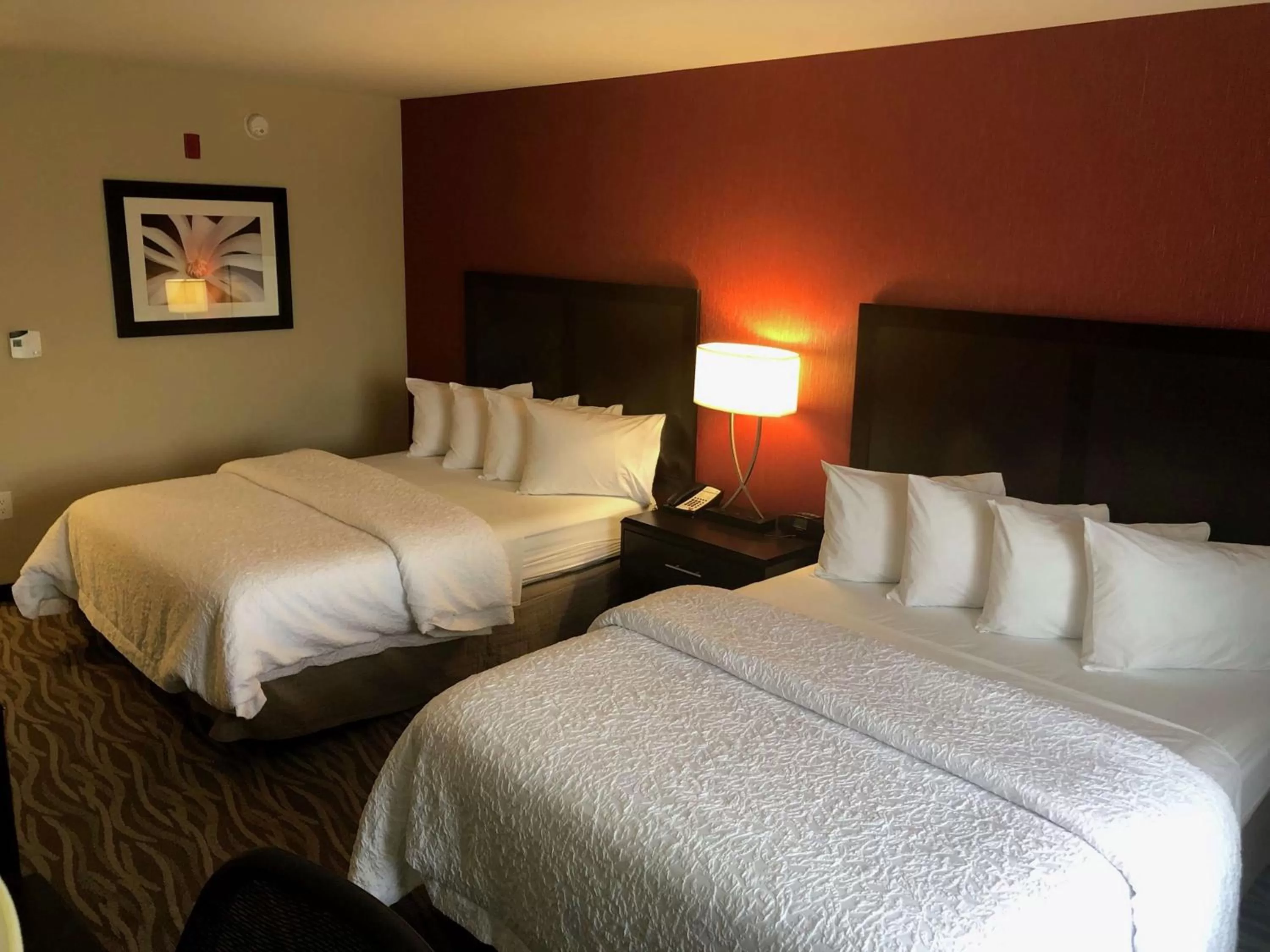 Room with Two Queen Beds - Non-Smoking in Hampton Inn Augusta/Gordon Highway