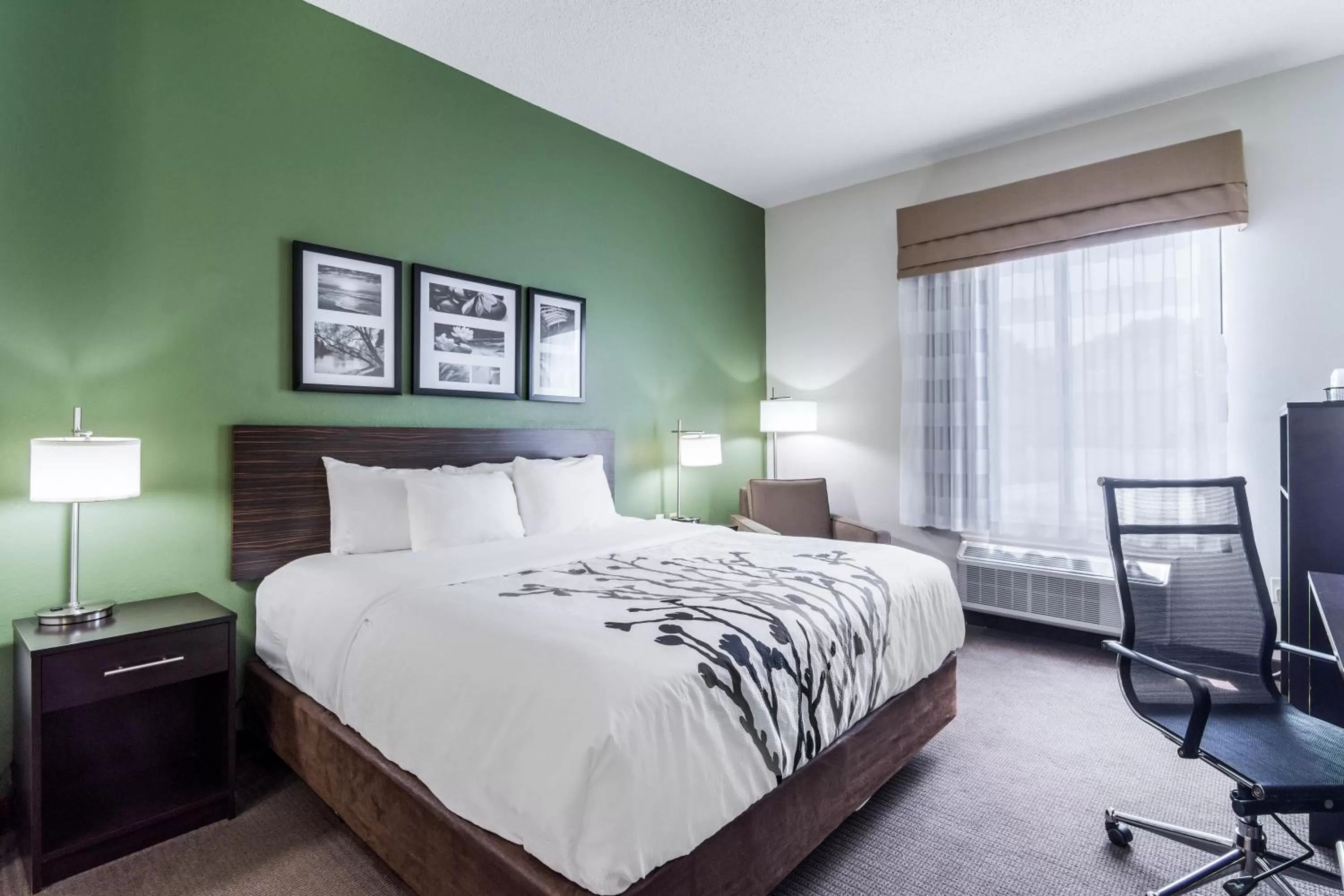 Standard King Room - Non-Smoking  in Sleep Inn & Suites Smithfield near I-95