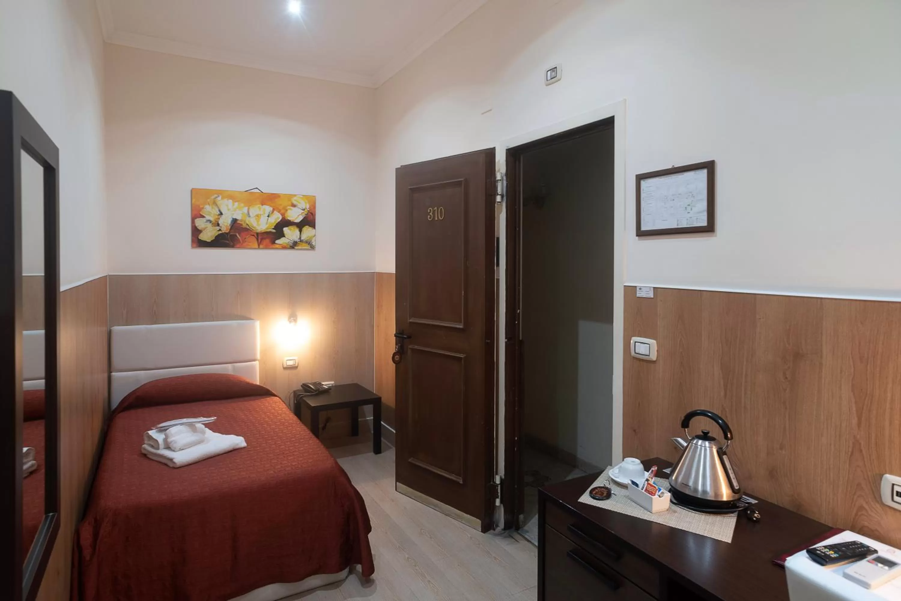 Basic Single Room in Hotel Tonic