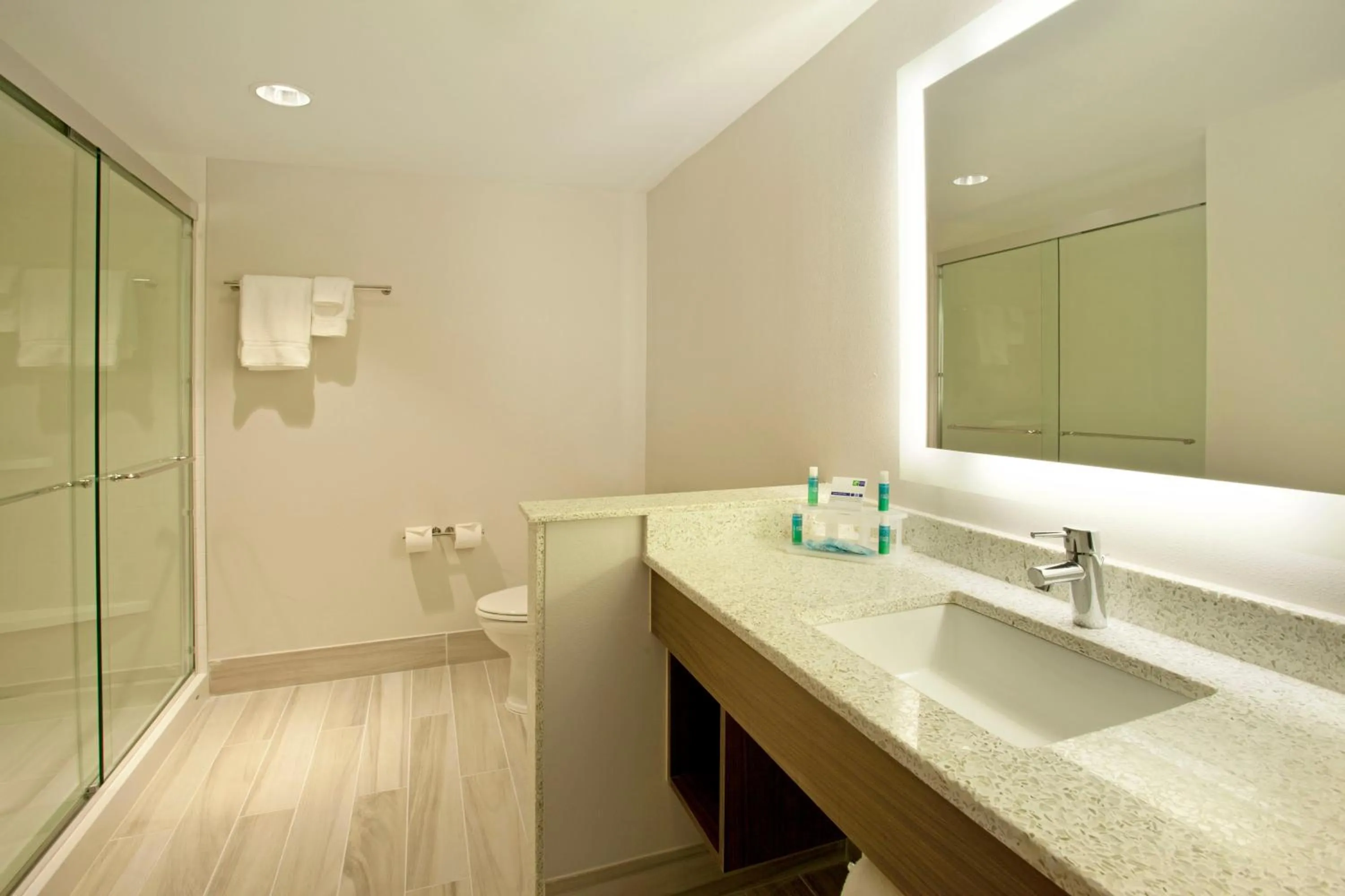 King Room - Hearing Accessible in Holiday Inn Express Hotel & Suites Austin Downtown - University by IHG