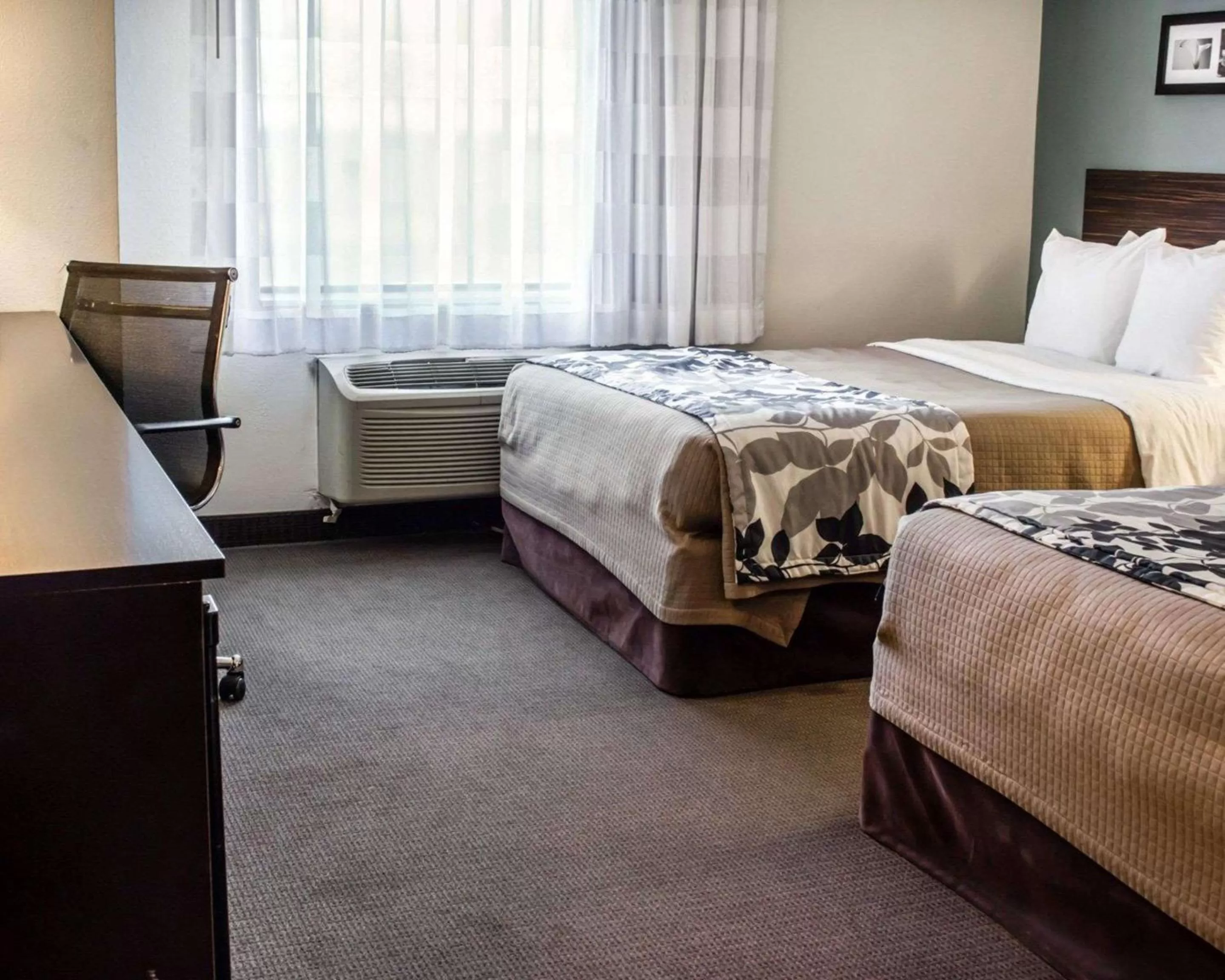 Standard Room Two Double Beds Non Smoking in Sleep Inn & Suites Monticello