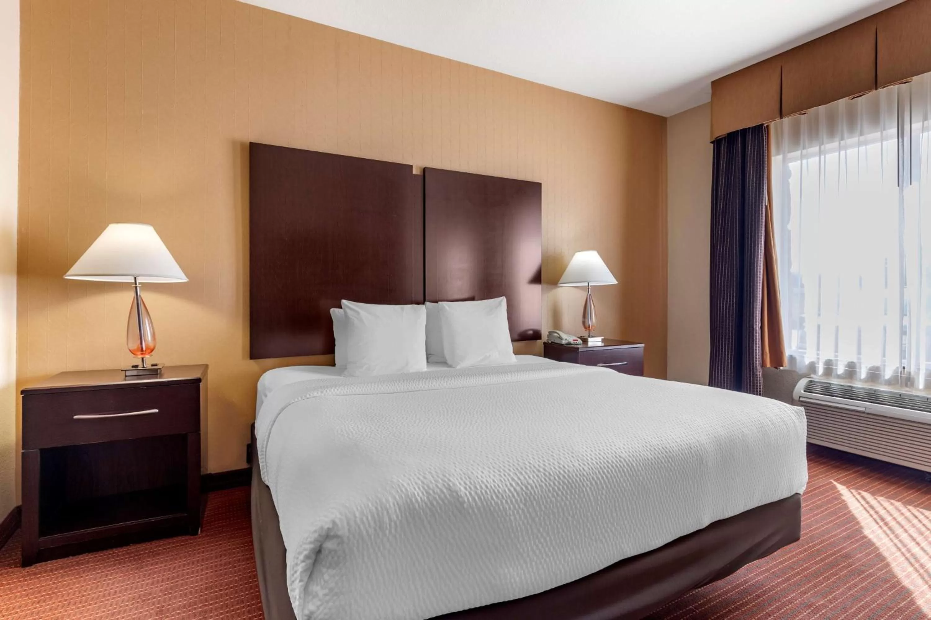 King Suite in Best Western Plus DFW Airport West Euless