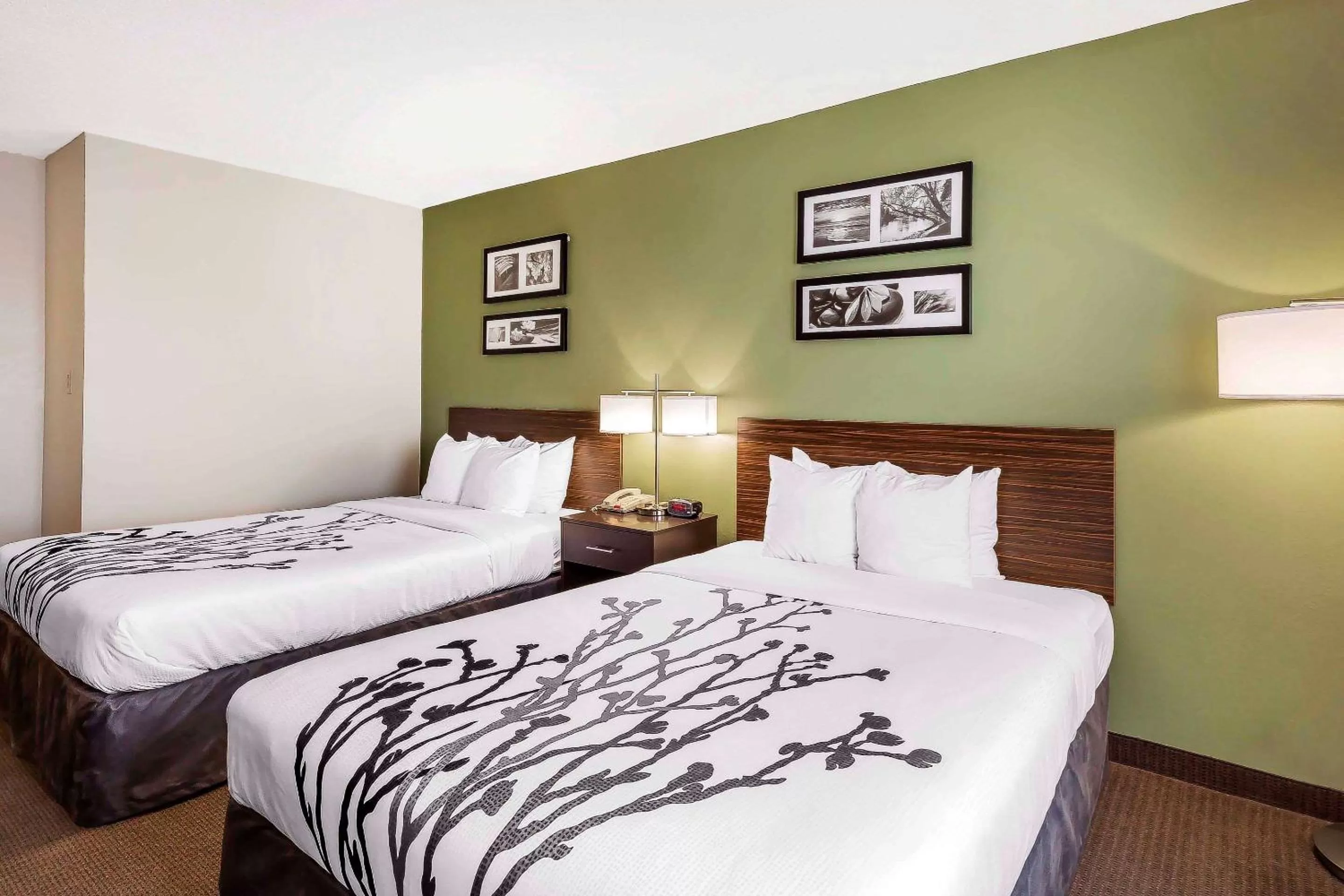 Queen Room with Two Queen Beds - Non-Smoking in Sleep Inn Columbia Gateway