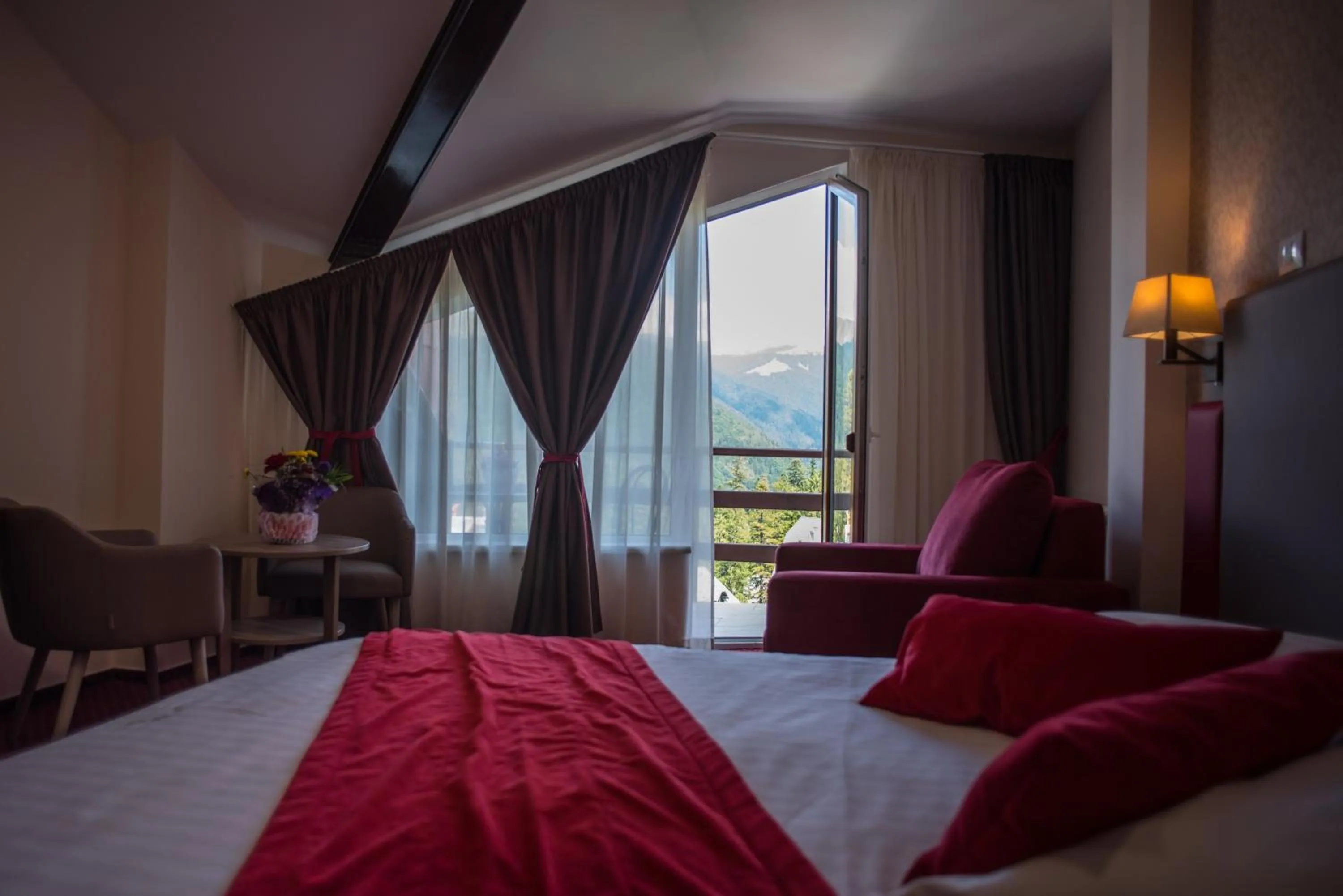 Double Room with Mountain View in Hotel Marea Neagra