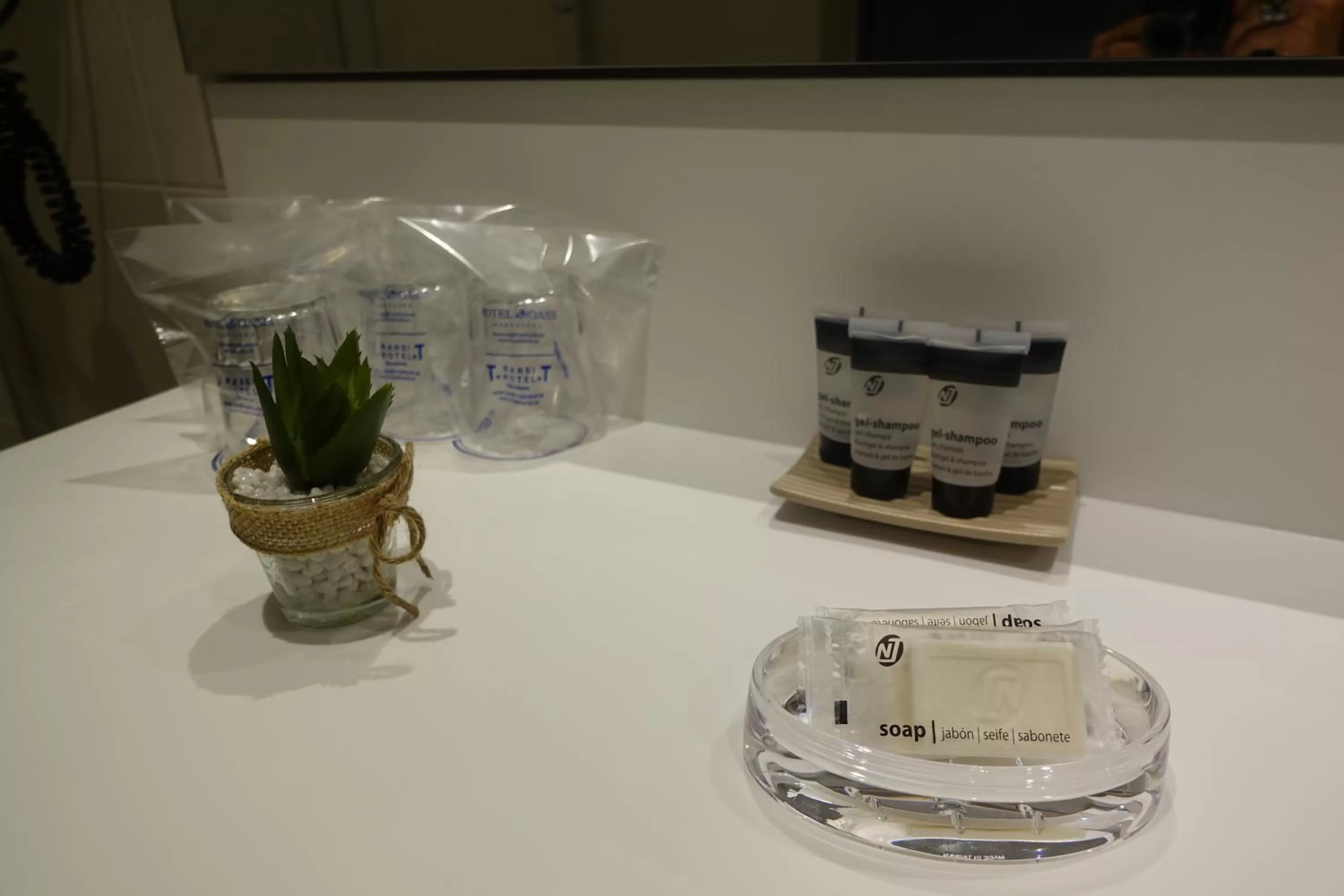 Superior Family Room in Hotel Oasis