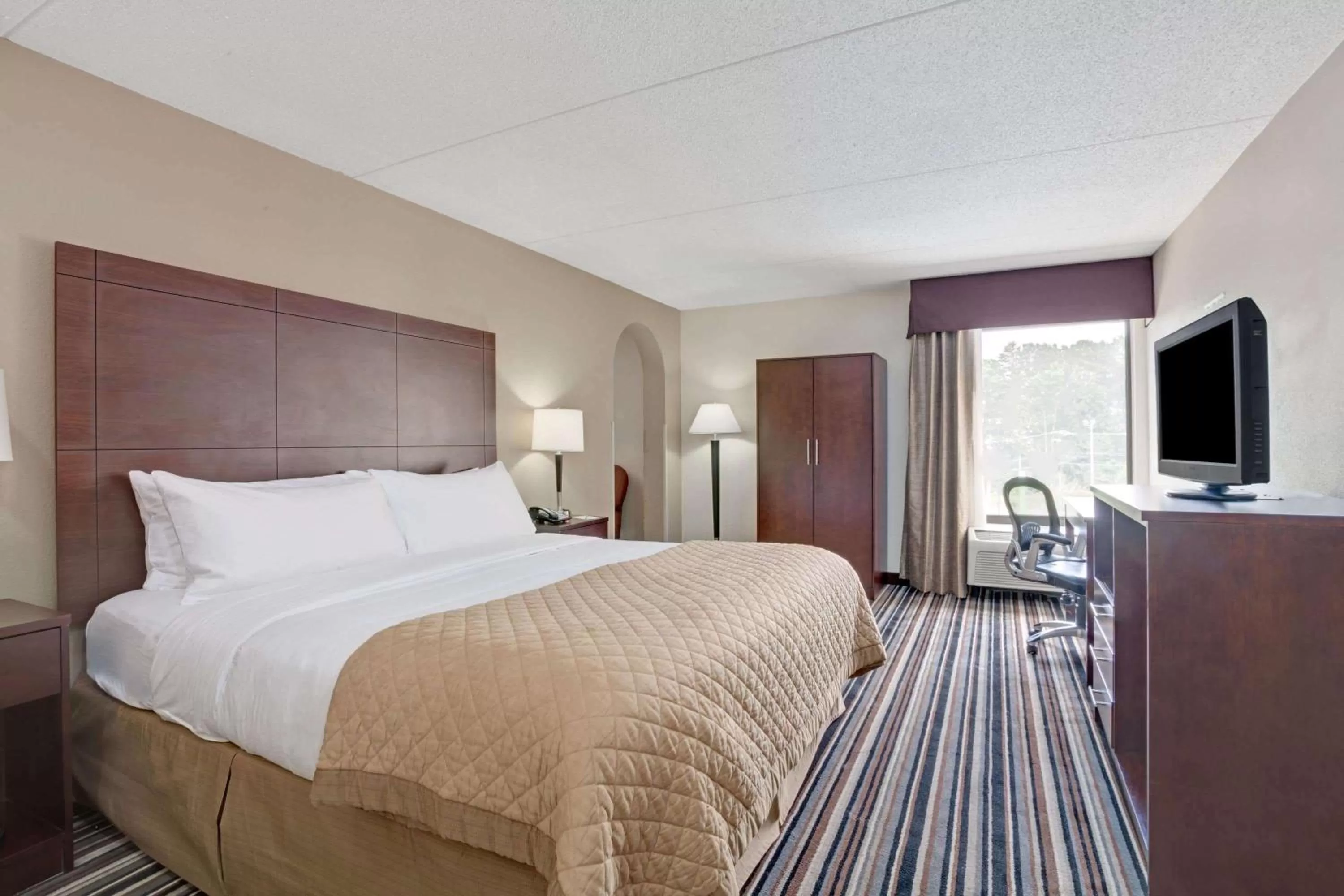 Deluxe King Room - Non-Smoking in Wyndham Garden Charlotte Airport Southeast