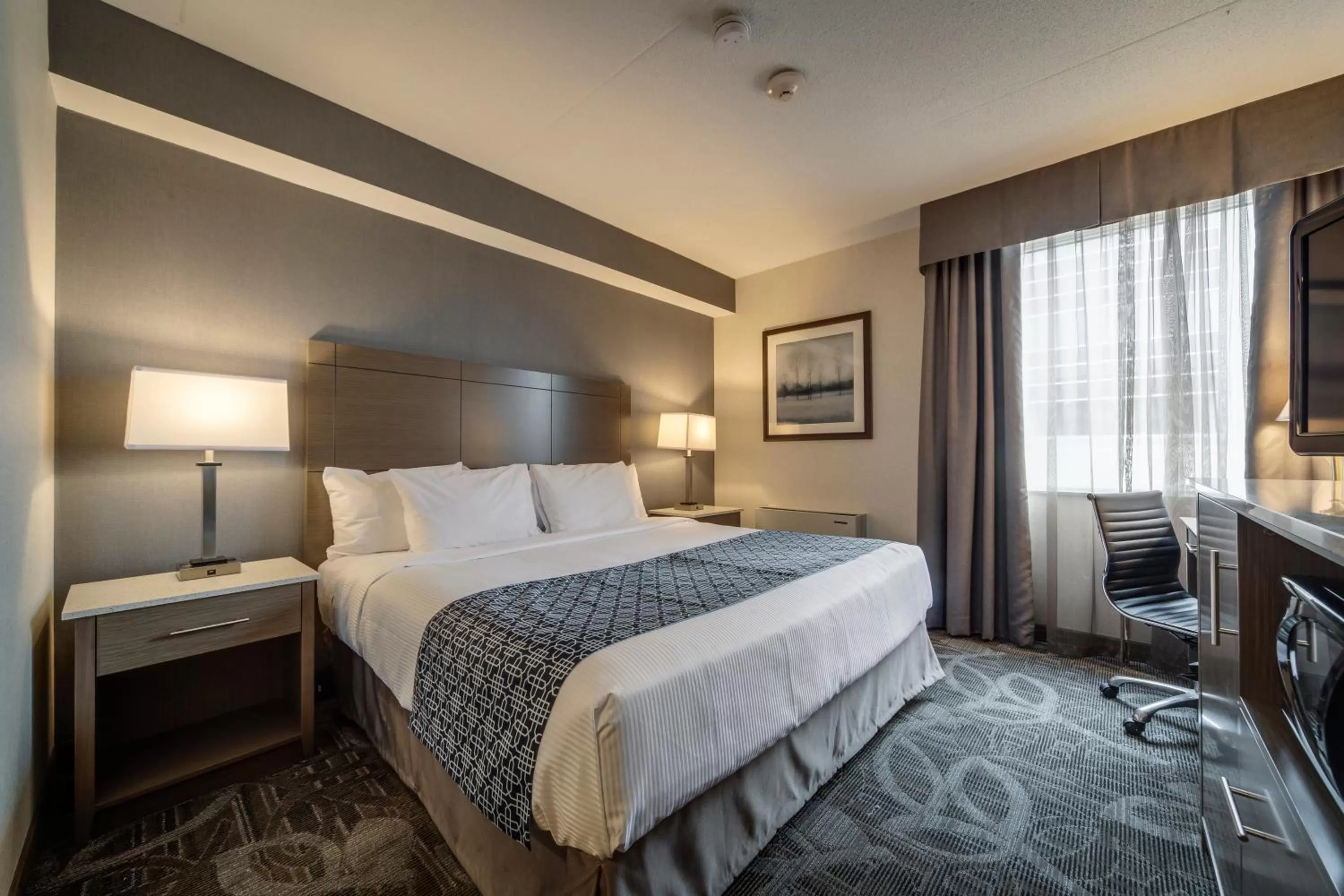 Standard Room with 1 Queen Bed in Monte Carlo Inn Airport Suites