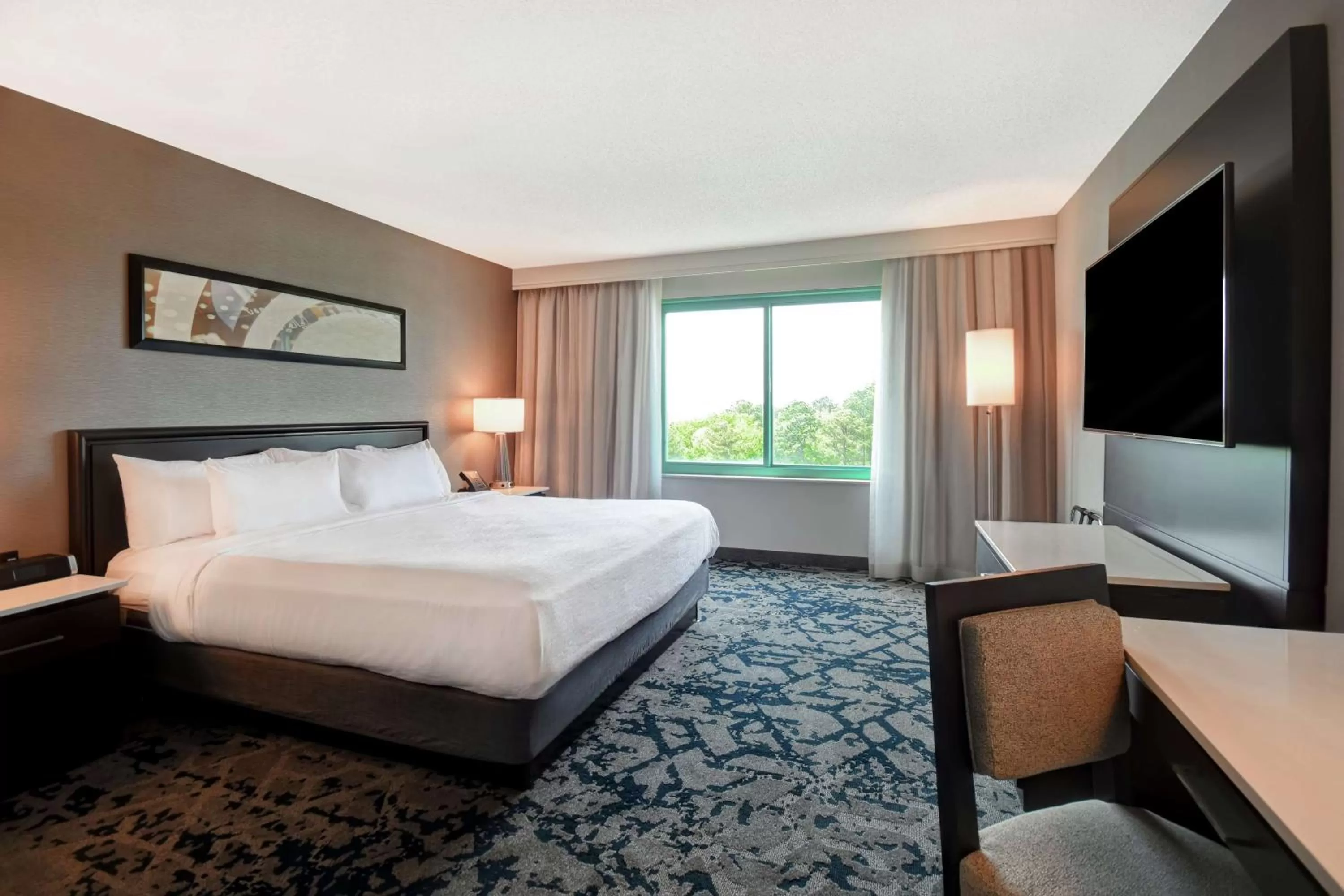 King Corner Suite with City View - Non-Smoking in Embassy Suites by Hilton Raleigh Durham Research Triangle