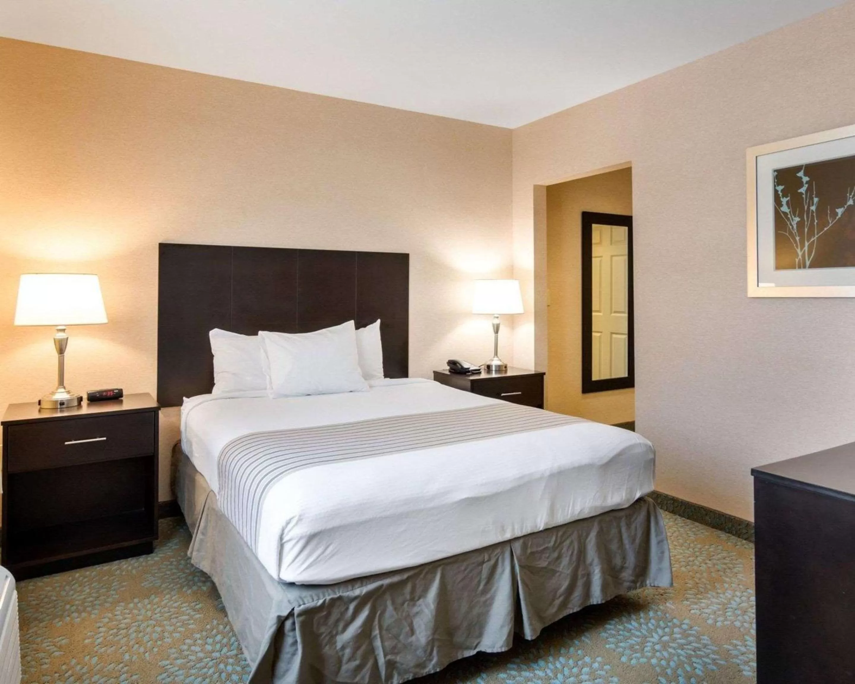 Efficiency Queen Suite - Accessible/Non-Smoking in Suburban Studios Quantico