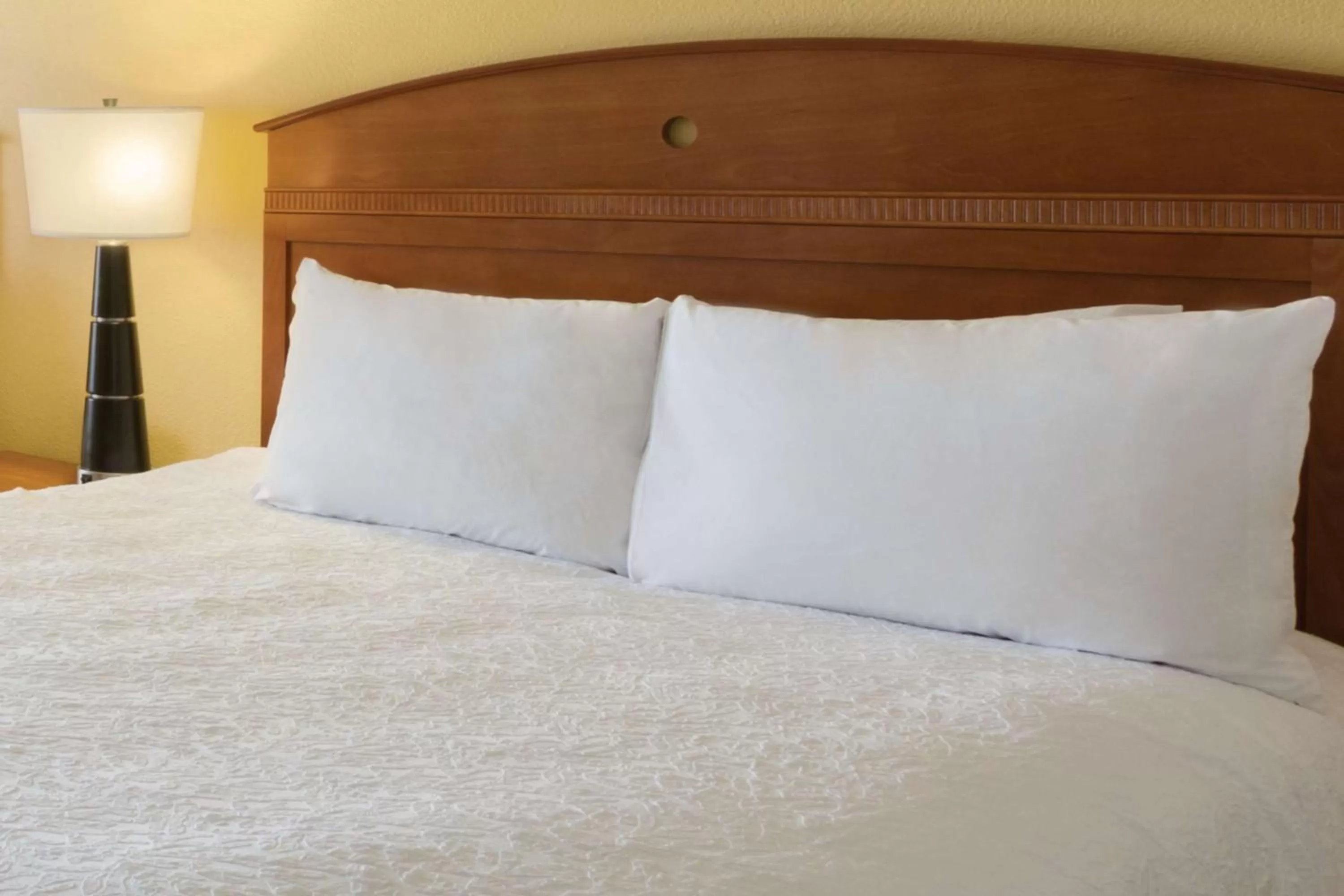 Queen Room - Non-Smoking in Hampton Inn Youngstown/Boardman