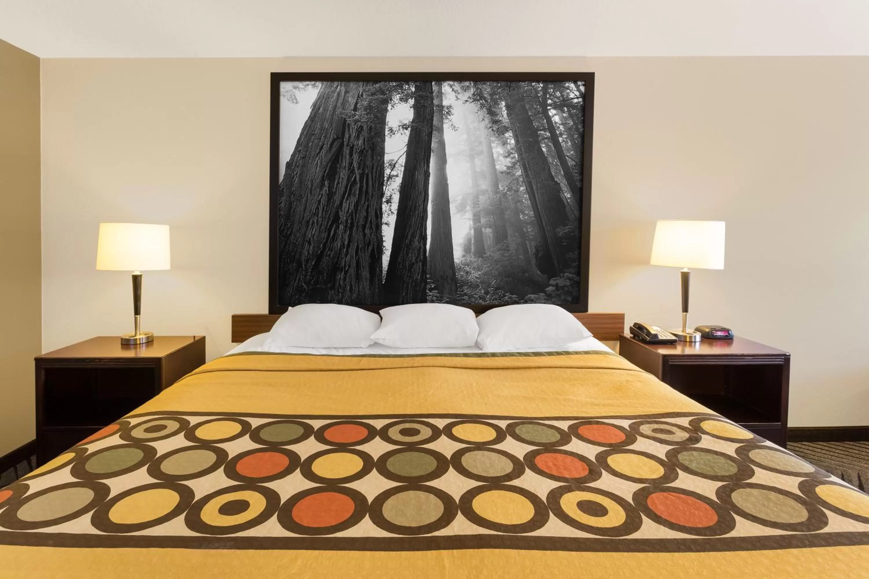 King Room - Non-Smoking in Super 8 by Wyndham Fortuna